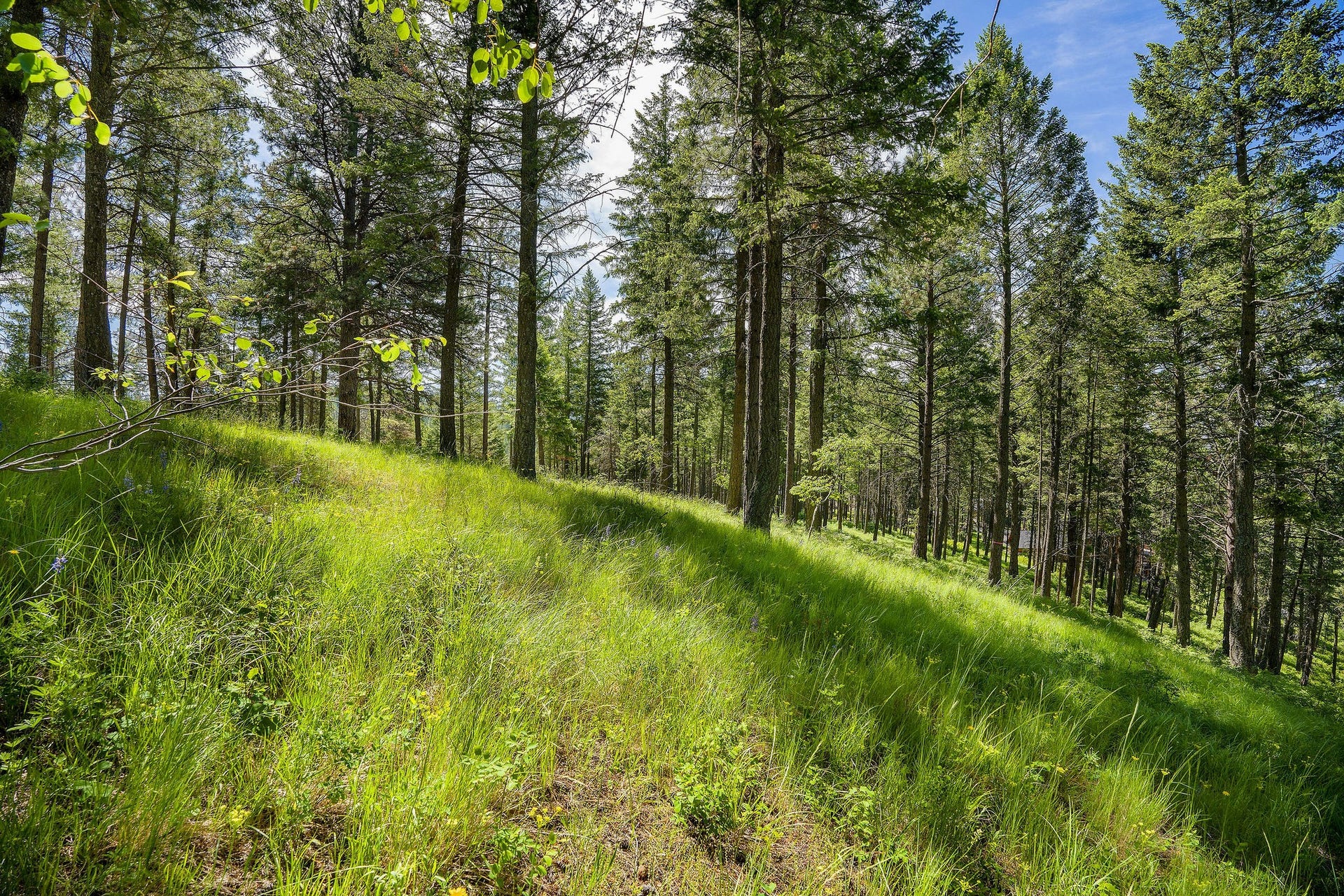 345 Chief Cliff Trail, Bigfork, MT 59911 345 Chief Cliff Trail, Bigfork, MT 59911