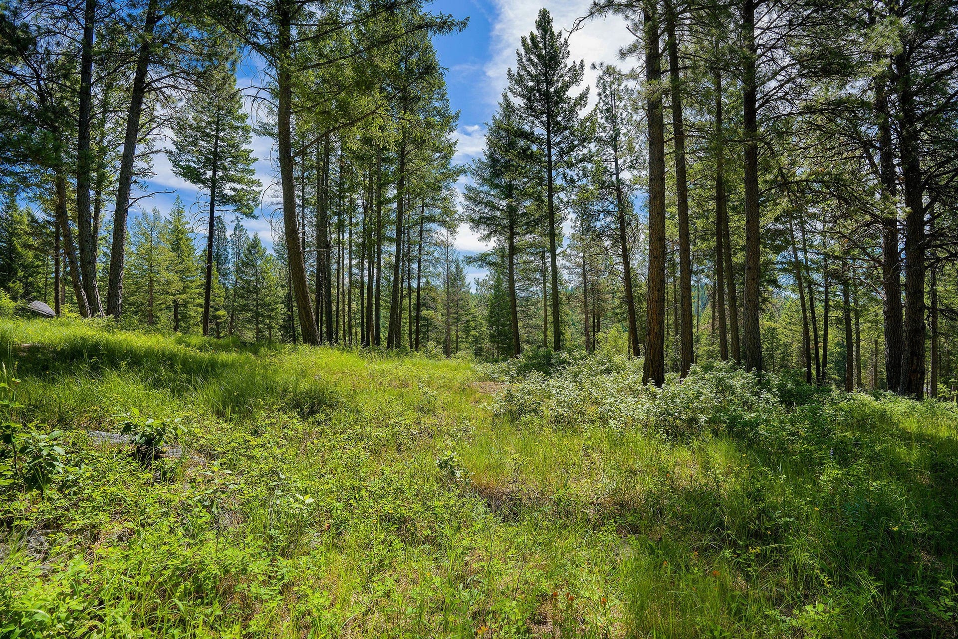345 Chief Cliff Trail, Bigfork, MT 59911 345 Chief Cliff Trail, Bigfork, MT 59911