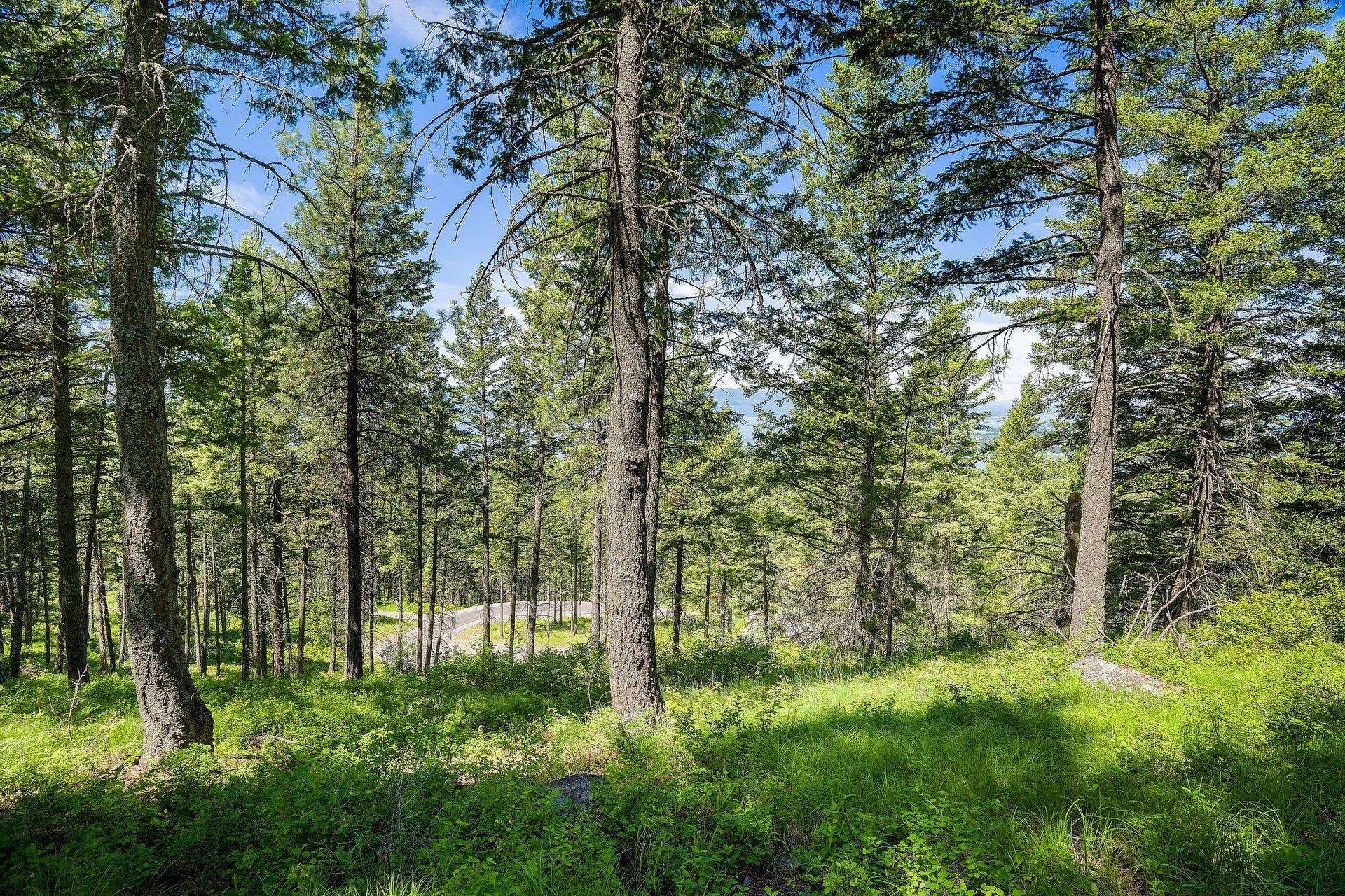 345 Chief Cliff Trail, Bigfork, MT 59911 345 Chief Cliff Trail, Bigfork, MT 59911