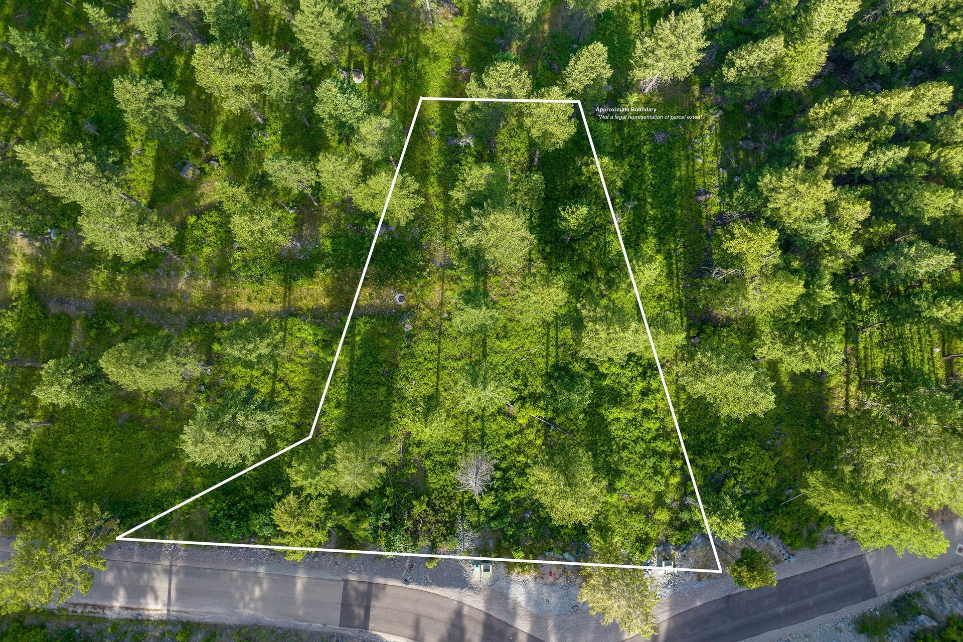 16 Bridle Court Approximate Lot Boundary Lines