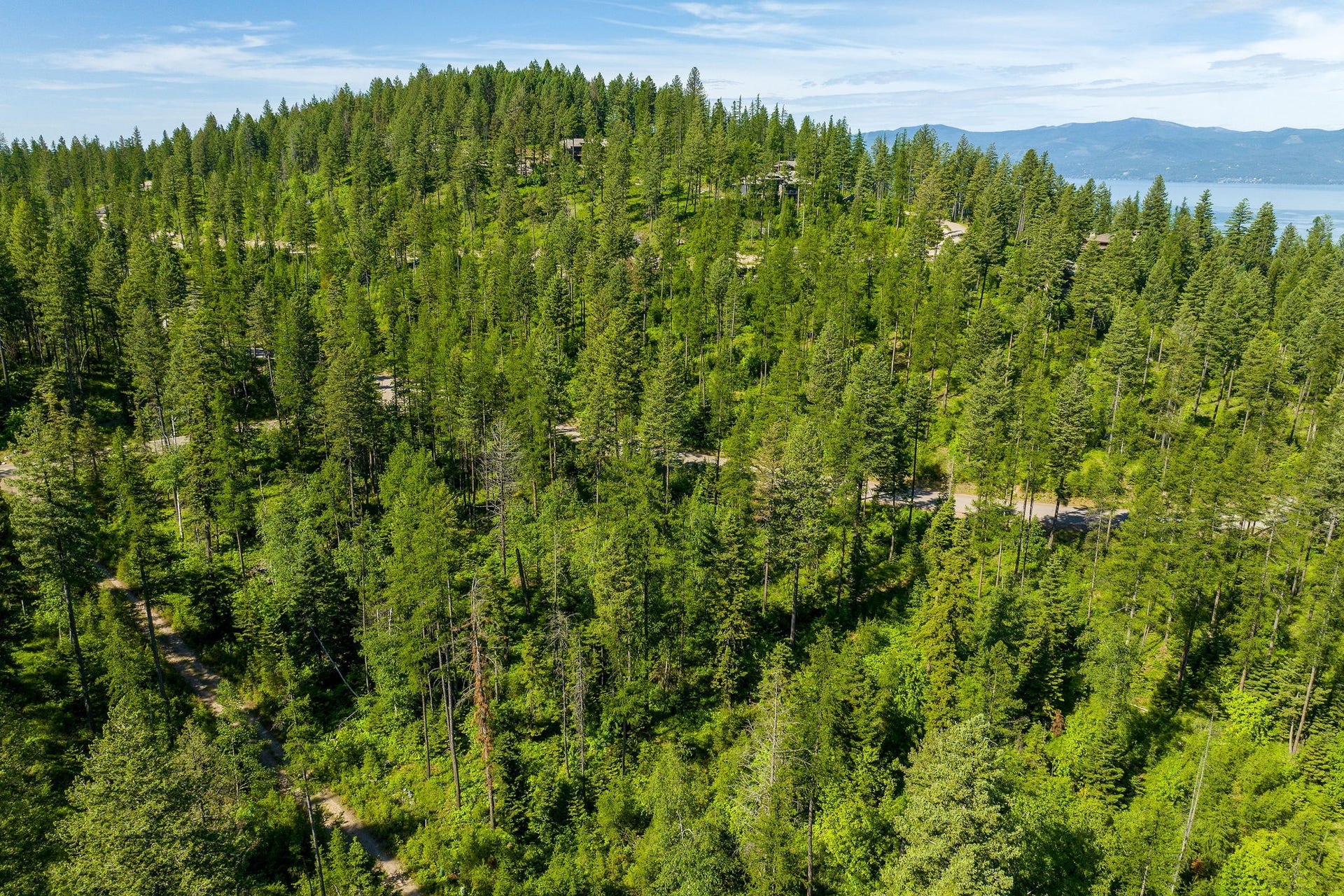 139 Timberjack Trail, Bigfork, MT 59911 139 Timberjack Trail - Aerial to SW