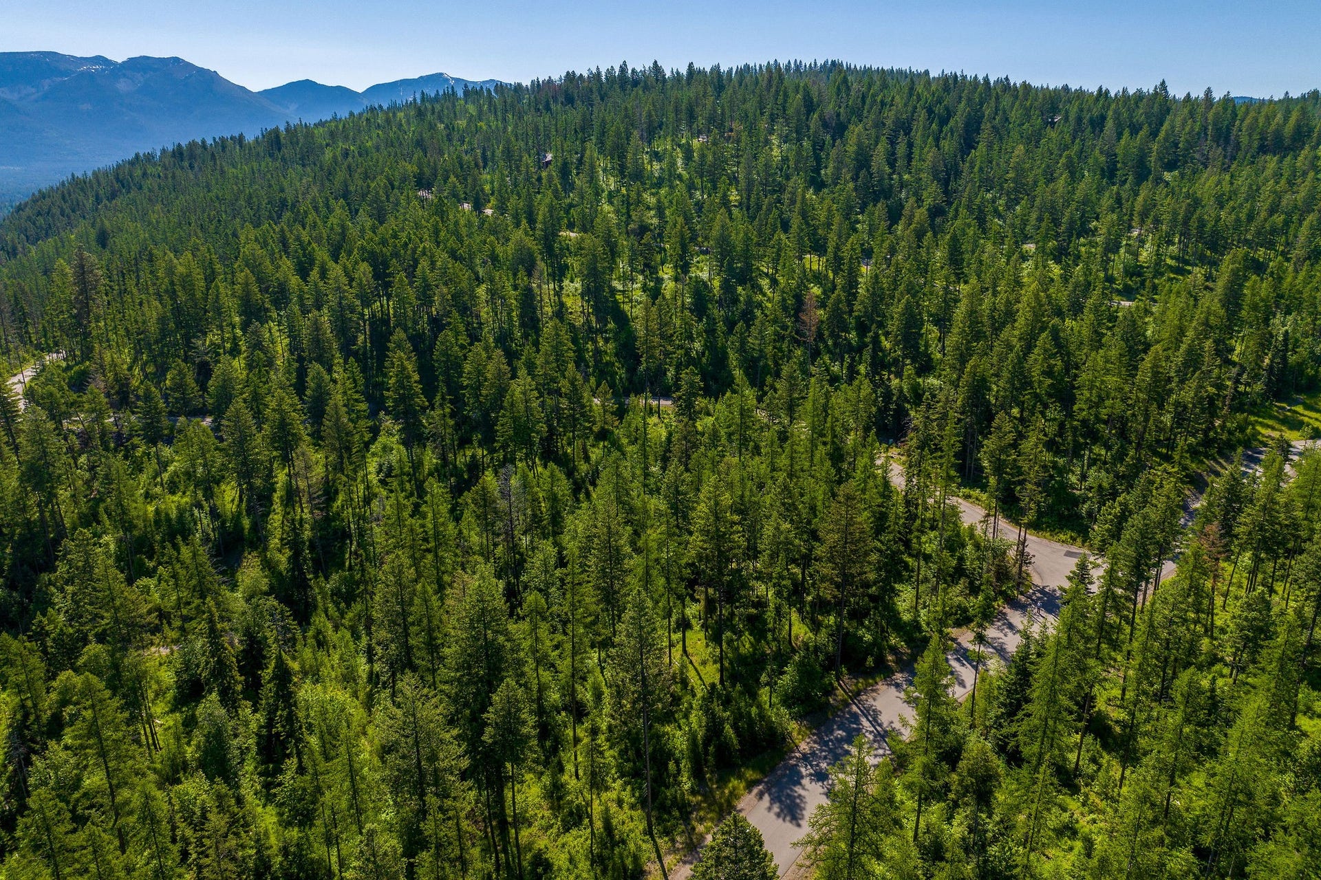 139 Timberjack Trail, Bigfork, MT 59911 139 Timberjack Trail Aerial to SE