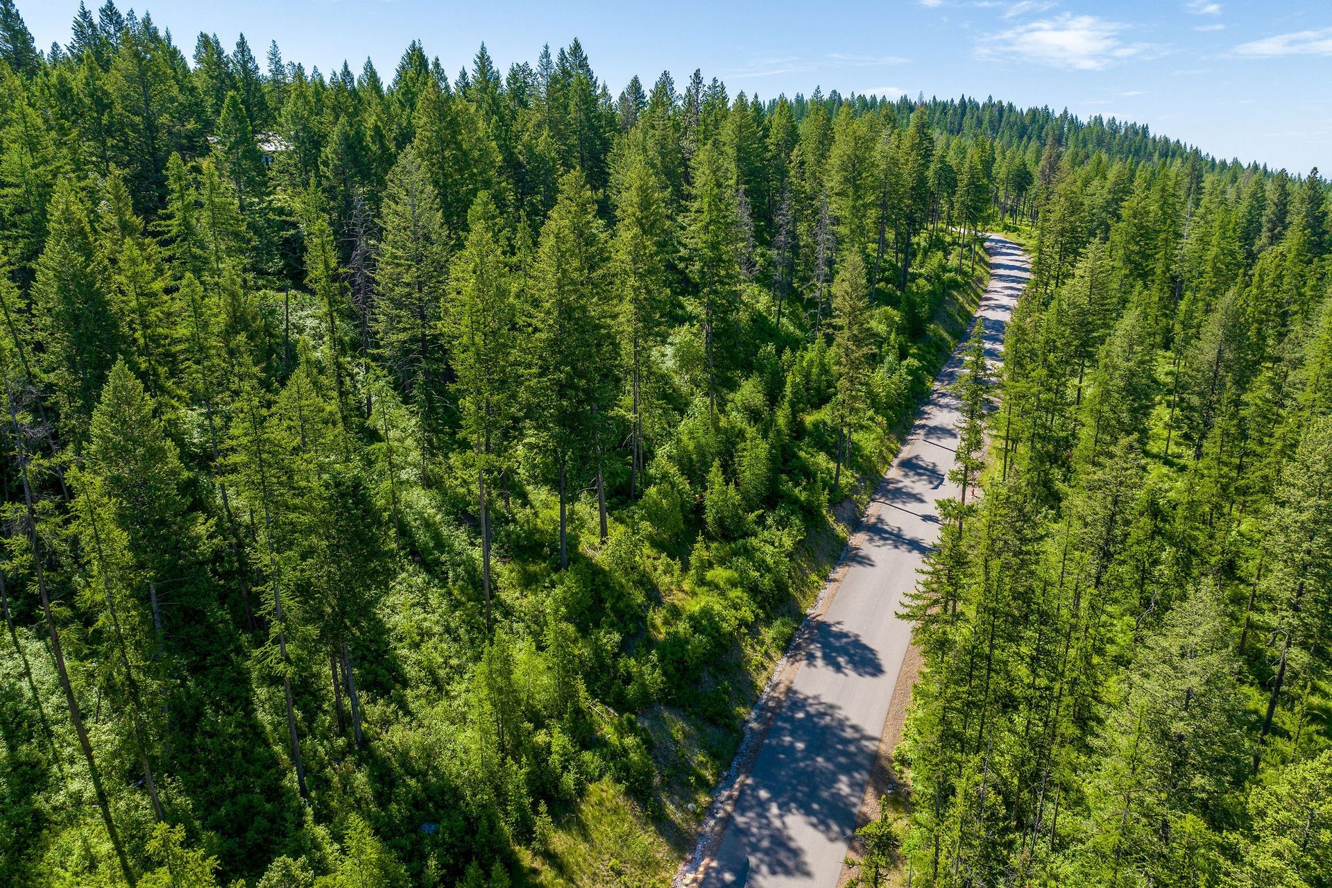 643 Saddlehorn Trail, Bigfork, MT 59911 643 Saddlehorn Trail