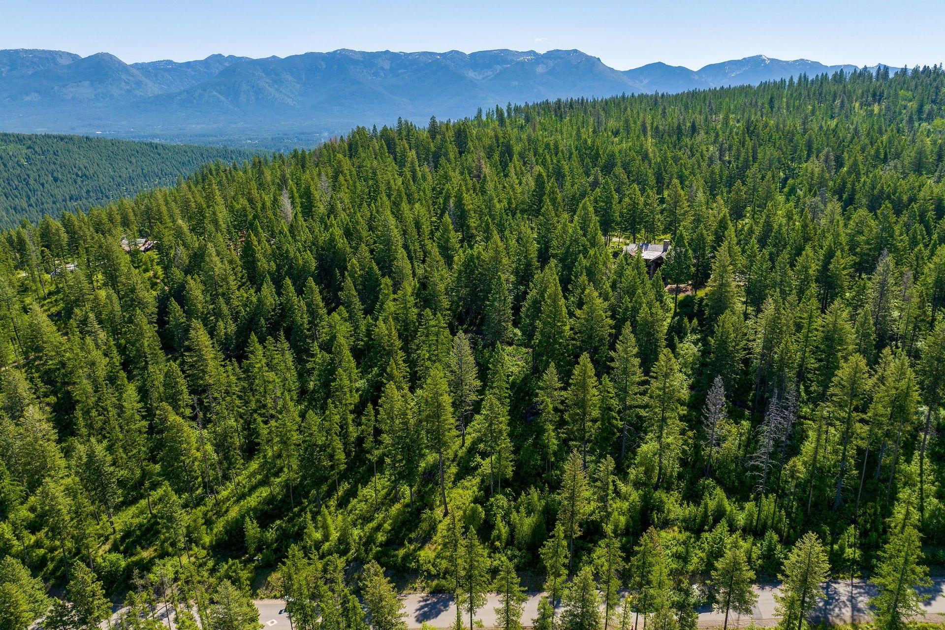 643 Saddlehorn Trail, Bigfork, MT 59911 643 Saddlehorn Trail