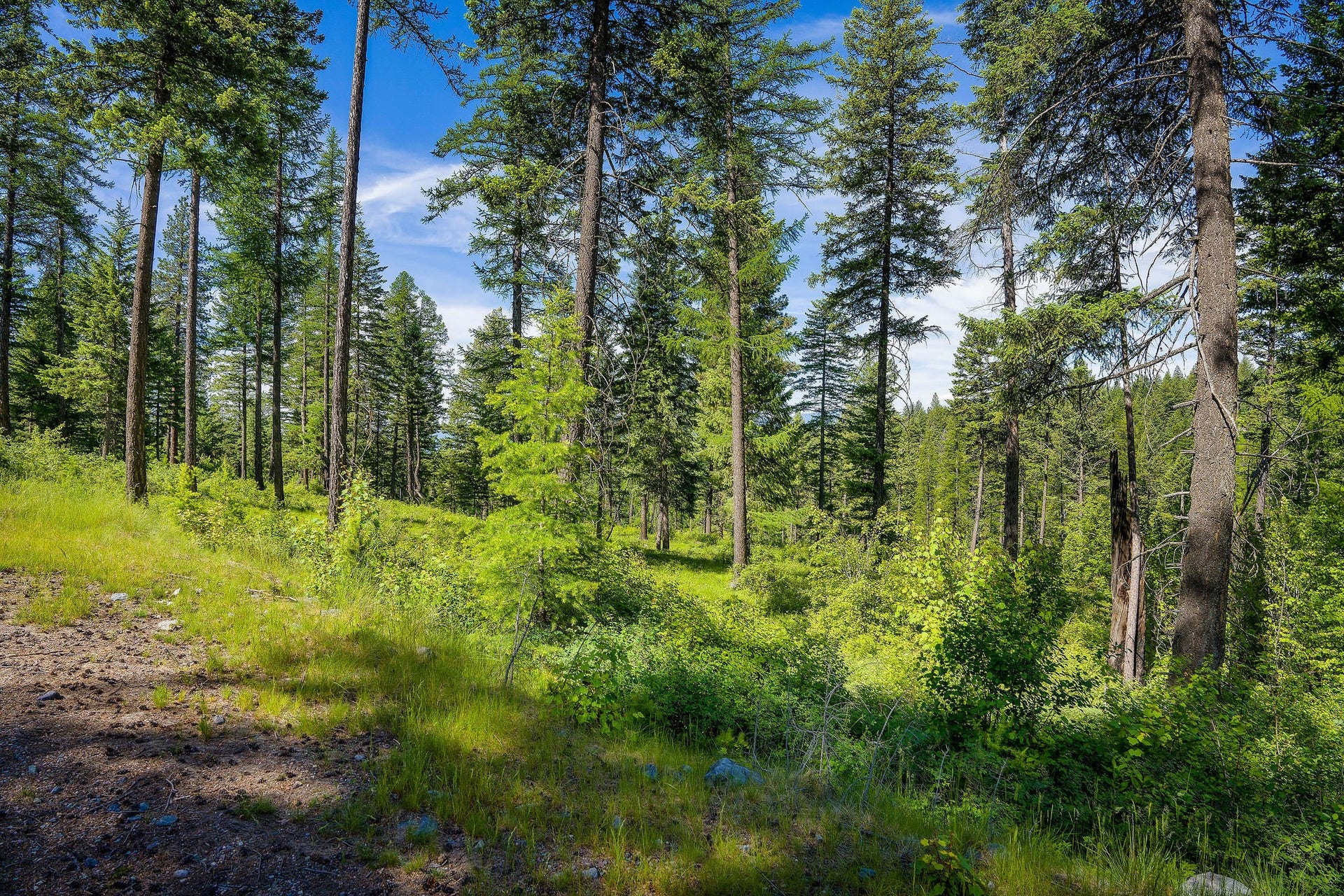 678 Saddlehorn Trail, Bigfork, MT 59911 678 Saddlehorn Trail, Bigfork, MT 59911