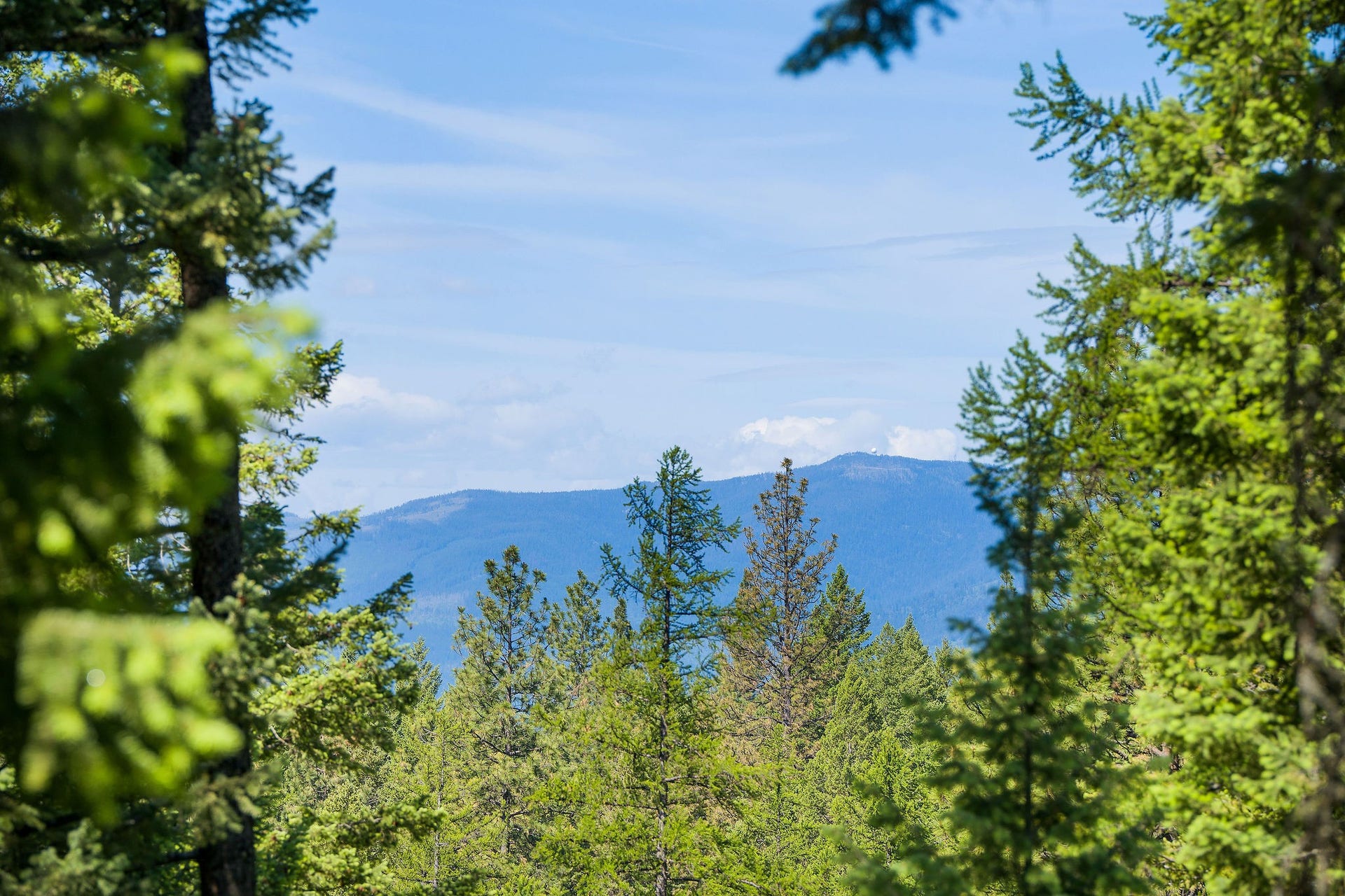 678 Saddlehorn Trail, Bigfork, MT 59911 678 Saddlehorn Trail, Bigfork, MT 59911