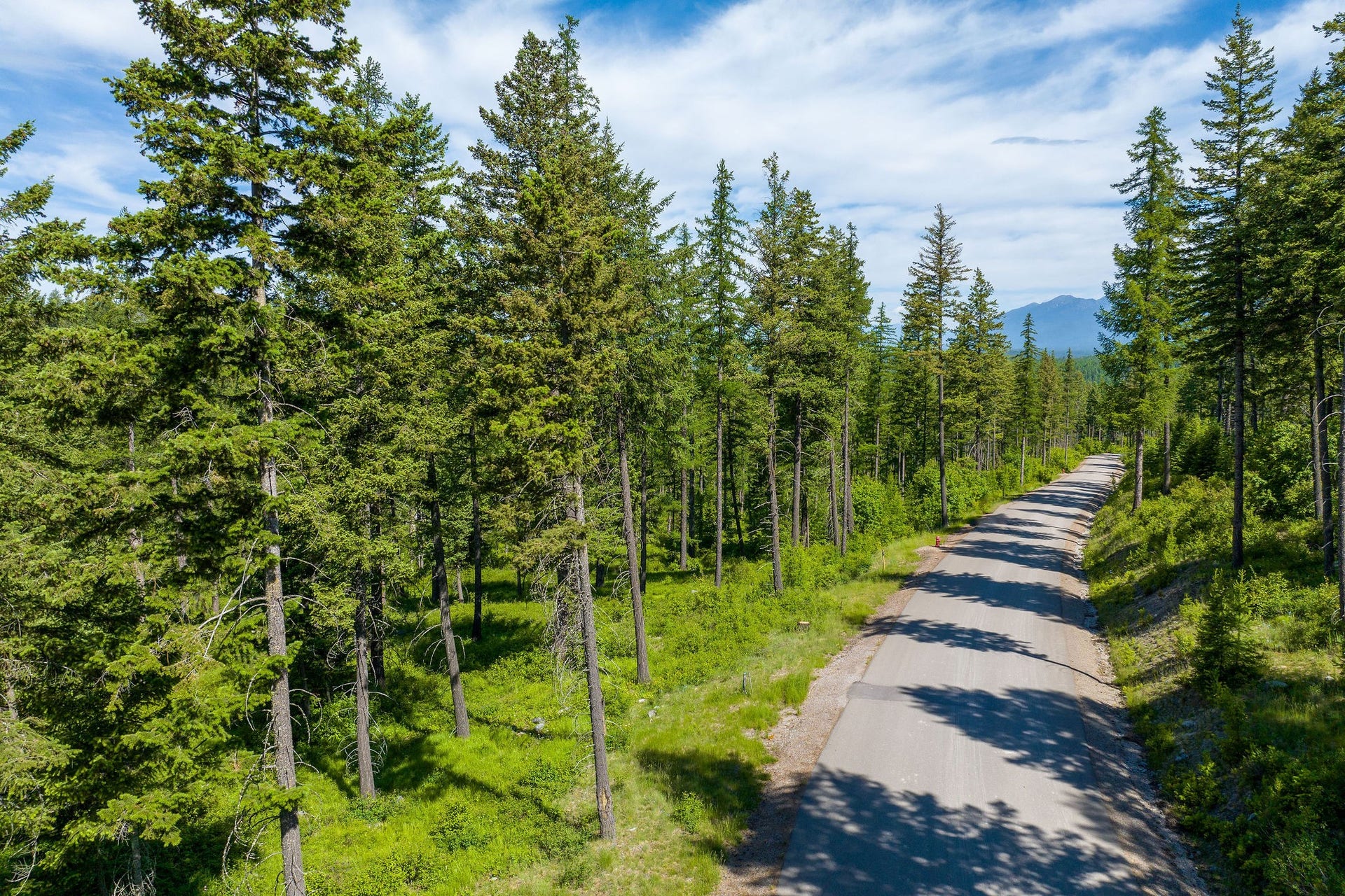 678 Saddlehorn Trail, Bigfork, MT 59911 678 Saddlehorn Trail, Bigfork, MT 59911