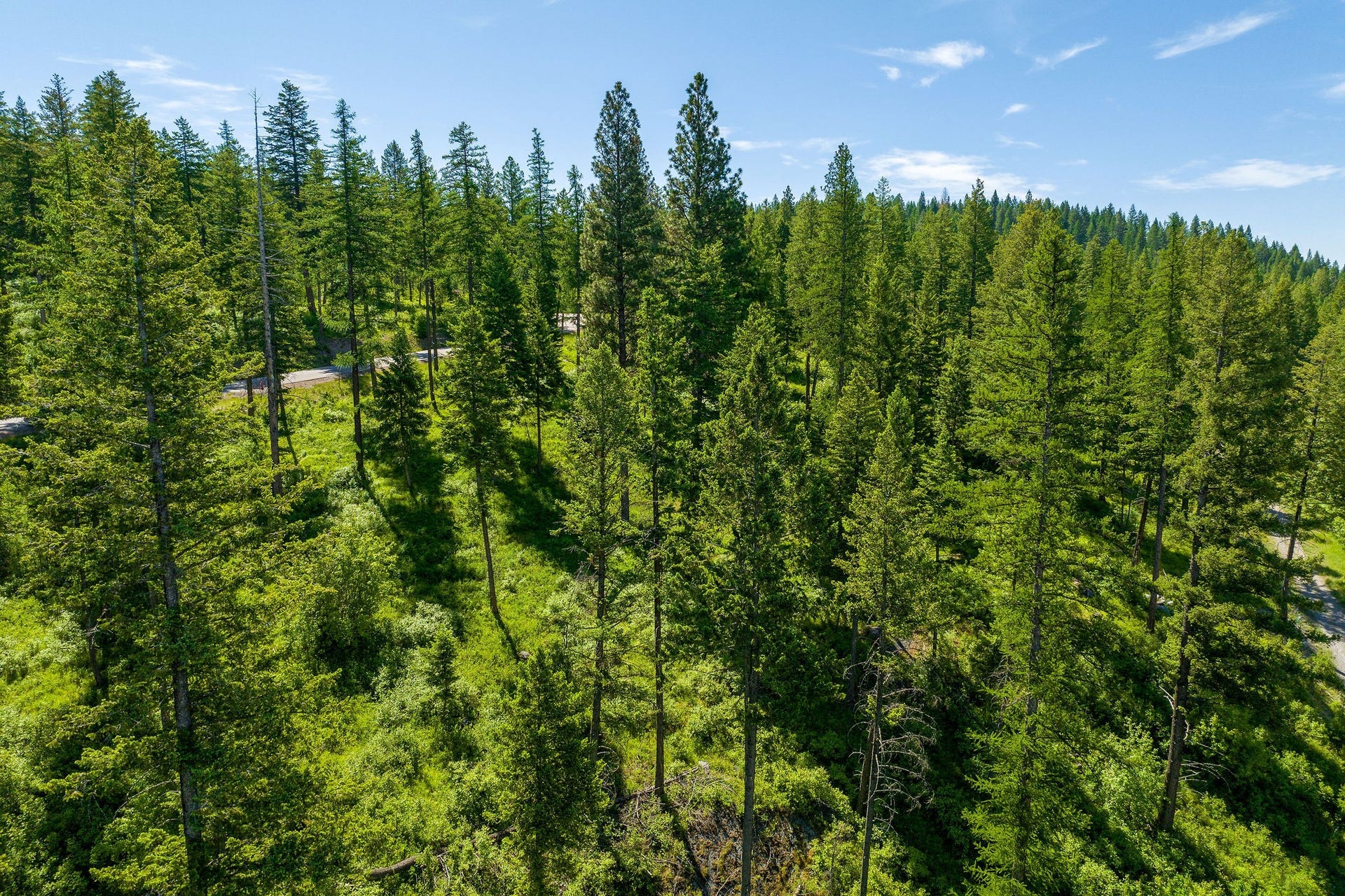 678 Saddlehorn Trail, Bigfork, MT 59911 678 Saddlehorn Trail, Bigfork, MT 59911