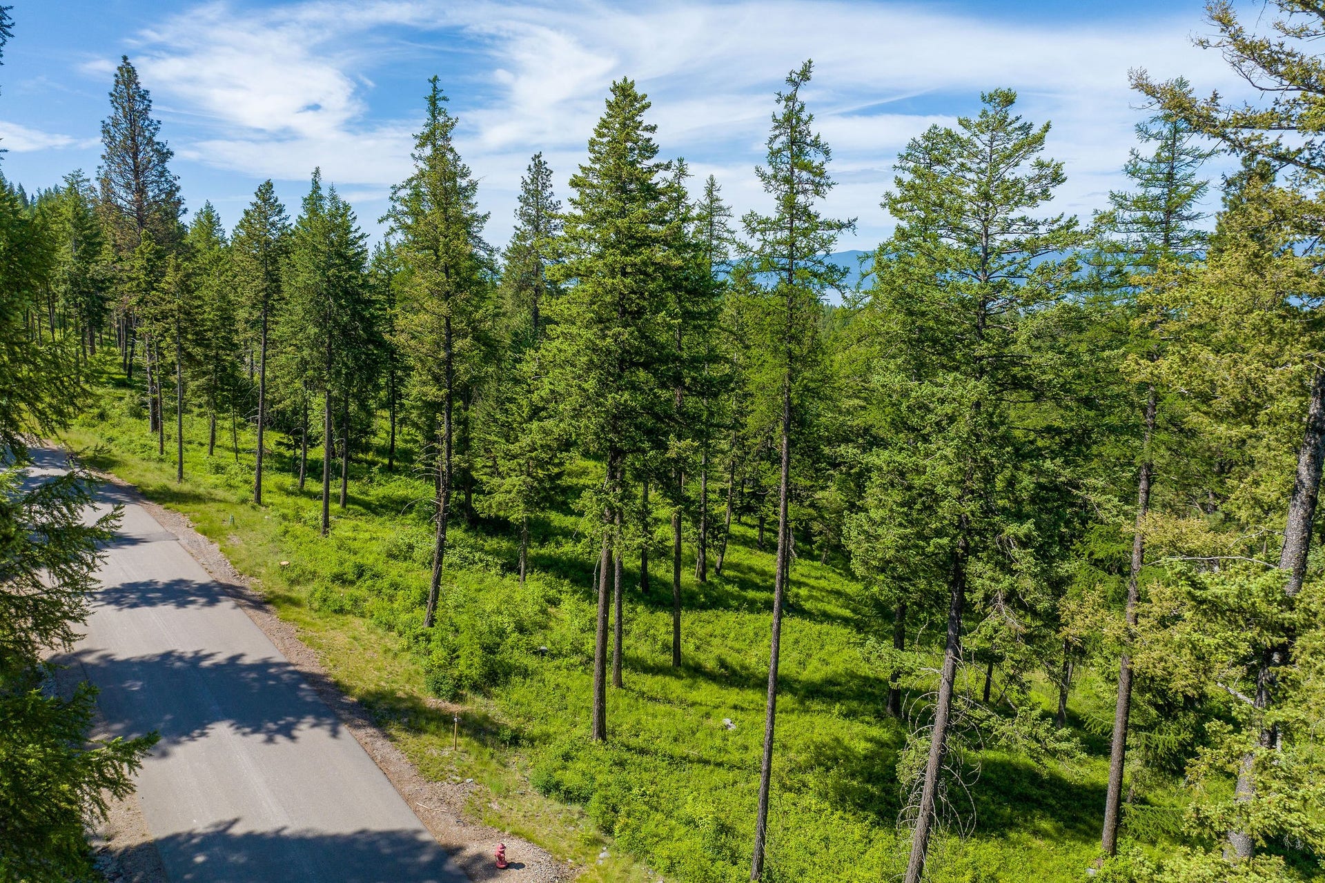 678 Saddlehorn Trail, Bigfork, MT 59911 678 Saddlehorn Trail, Bigfork, MT 59911
