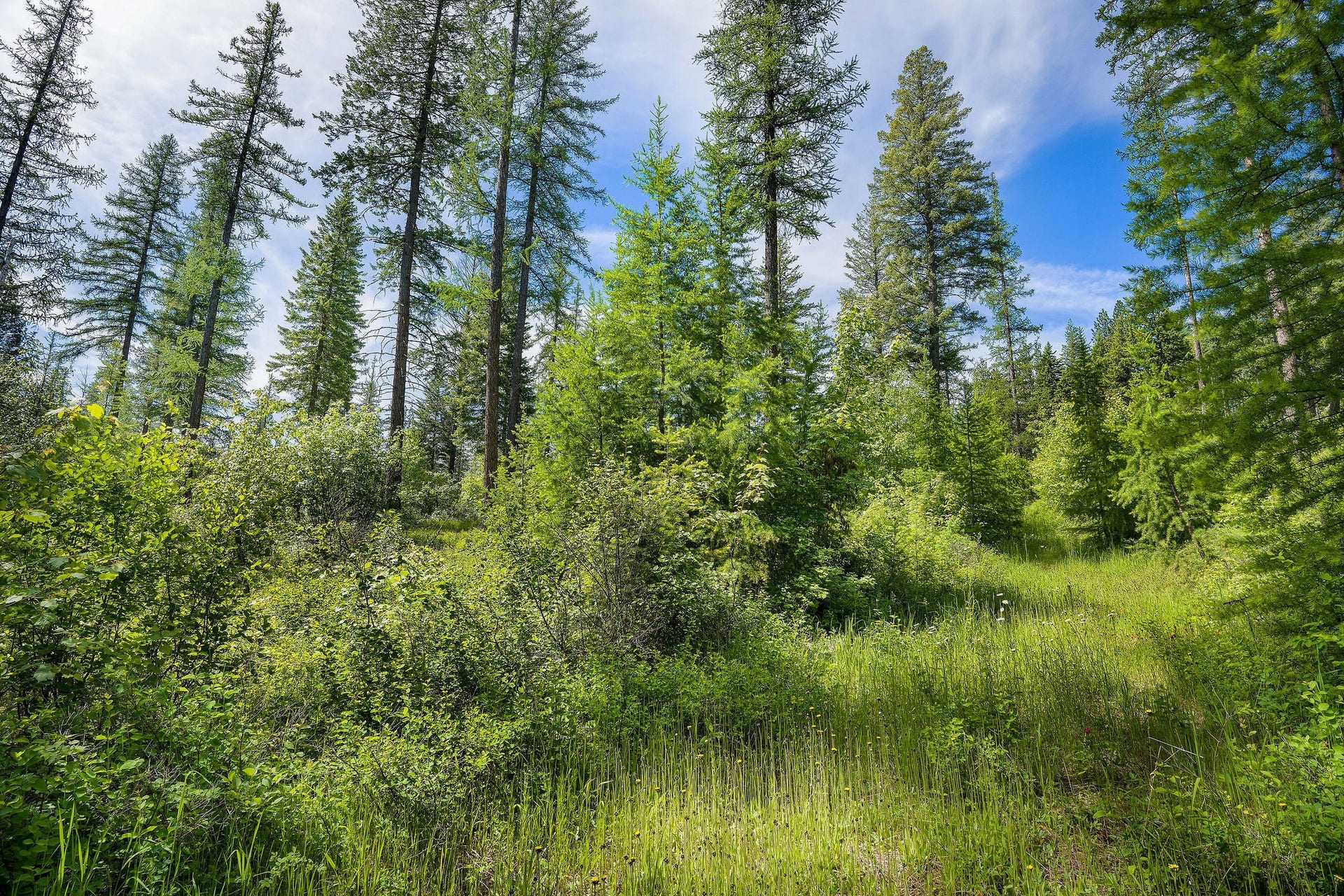 477 Chief Cliff Trail, Bigfork, MT 59911 477 Chief Cliff Trail