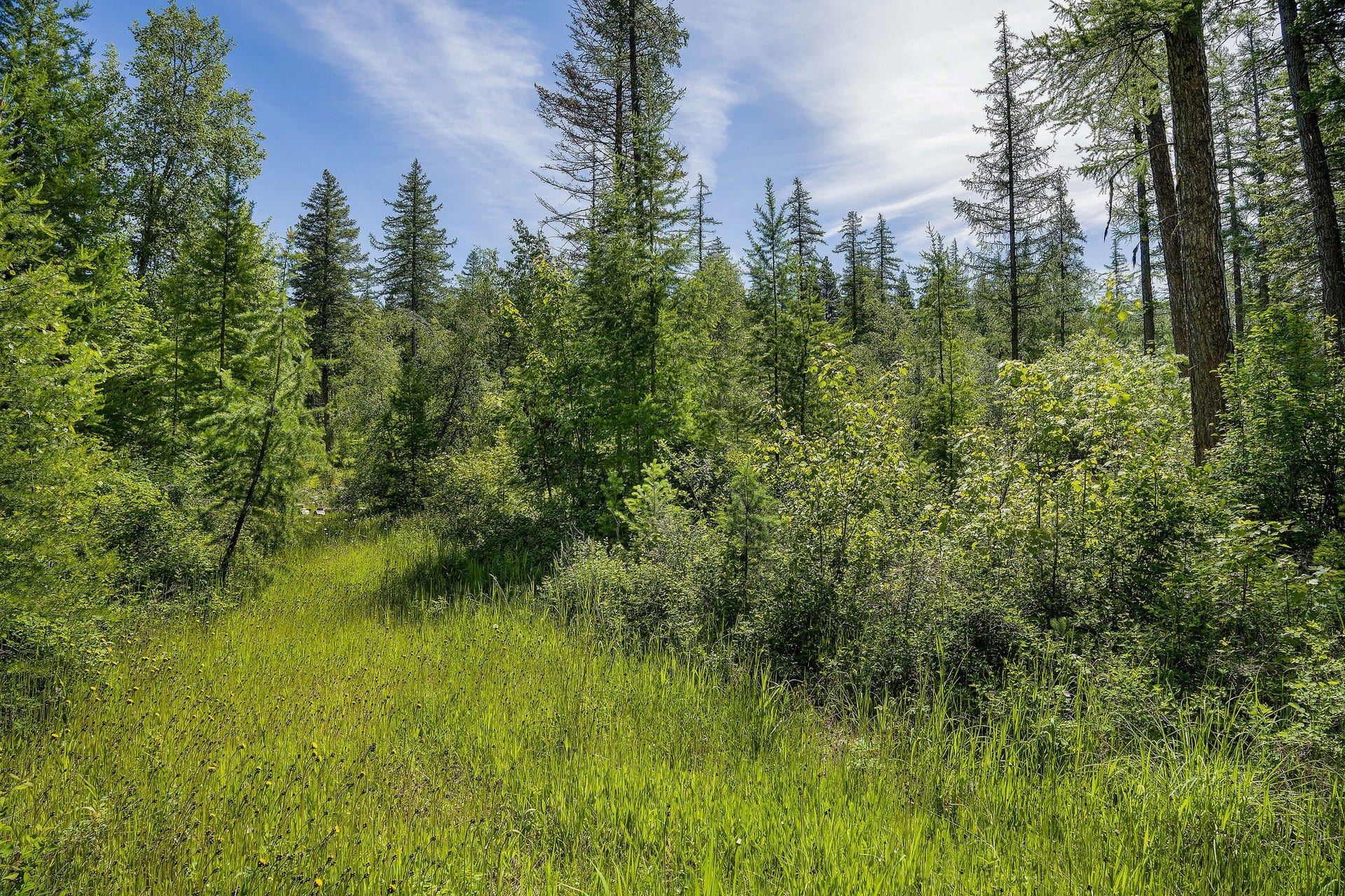 477 Chief Cliff Trail, Bigfork, MT 59911 477 Chief Cliff Trail