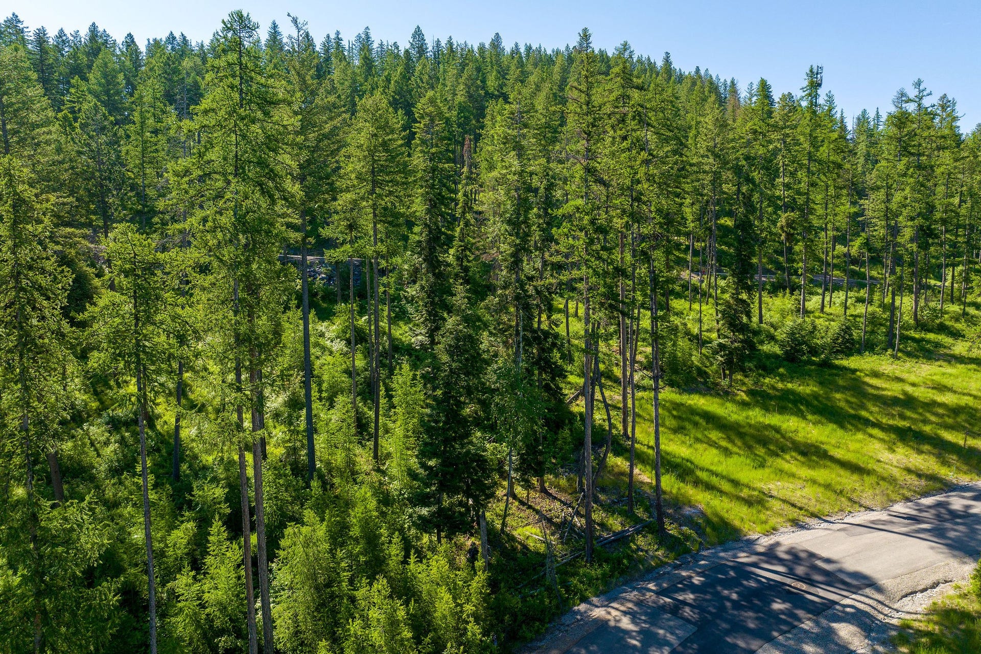 234 Trading Post Trail, Bigfork, MT 59911 234 Trading Post Trail Aerial