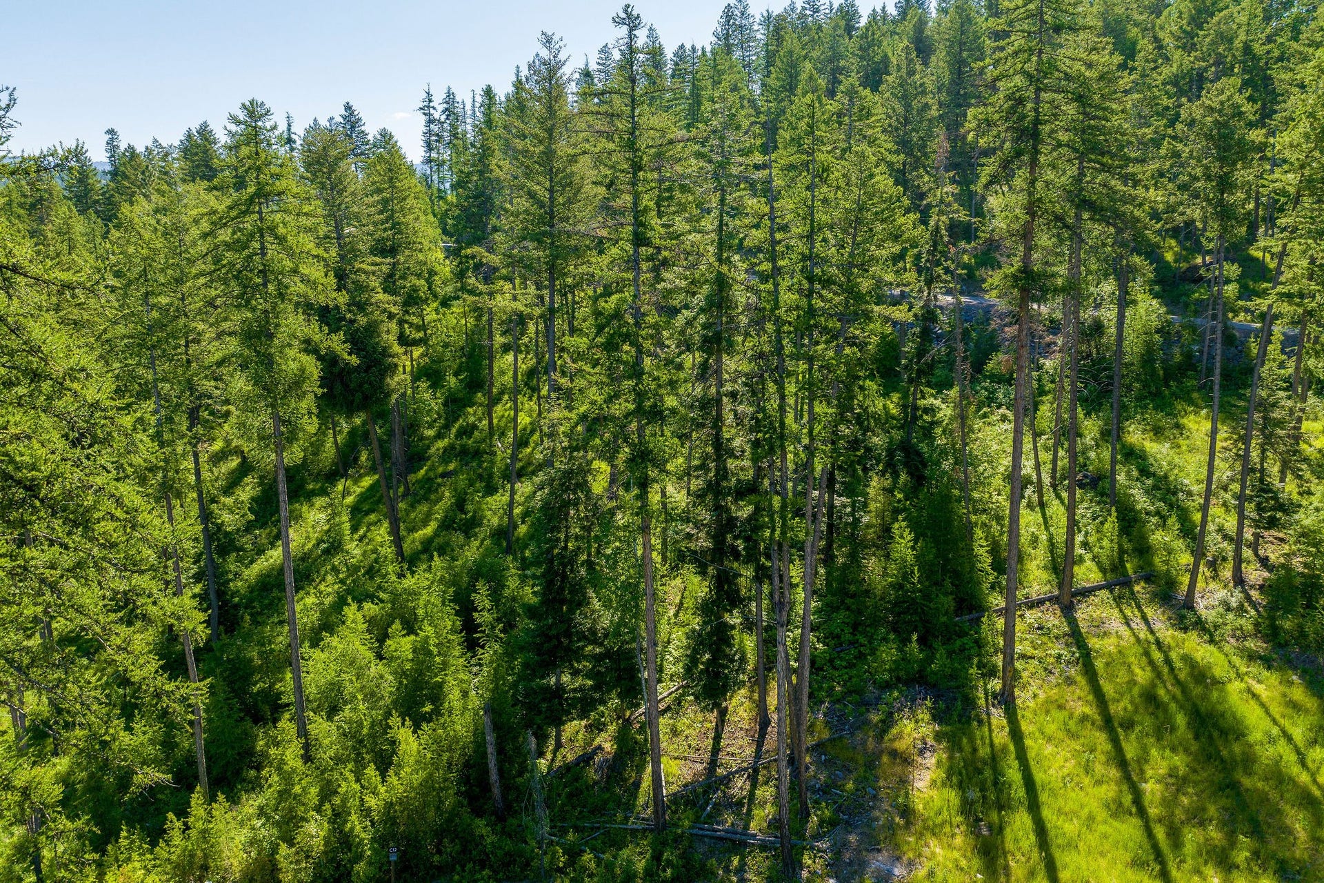 234 Trading Post Trail, Bigfork, MT 59911 234 Trading Post Trail Aerial