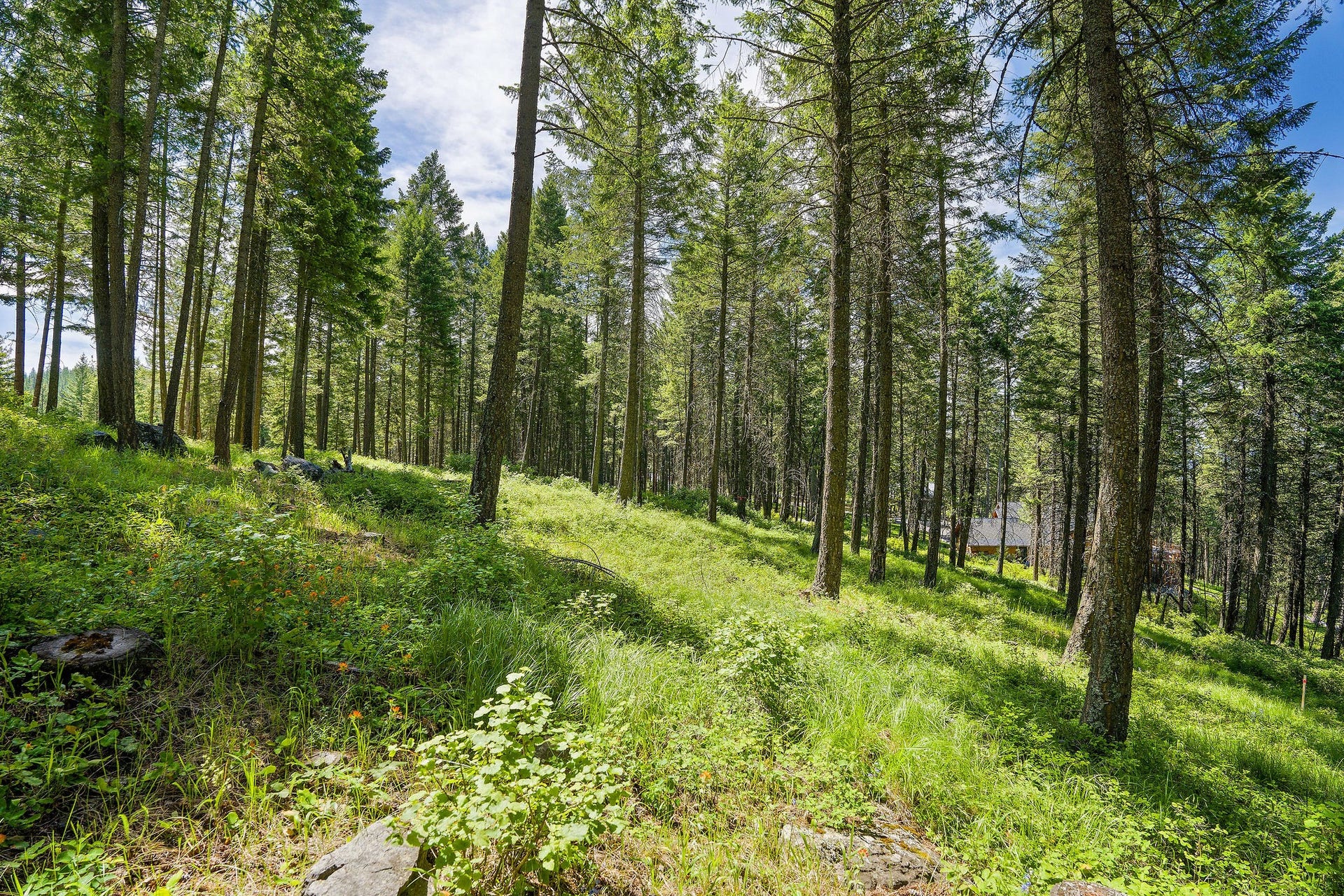 369 Chief Cliff Trail, Bigfork, MT 59911 369 Chief Cliff Trail