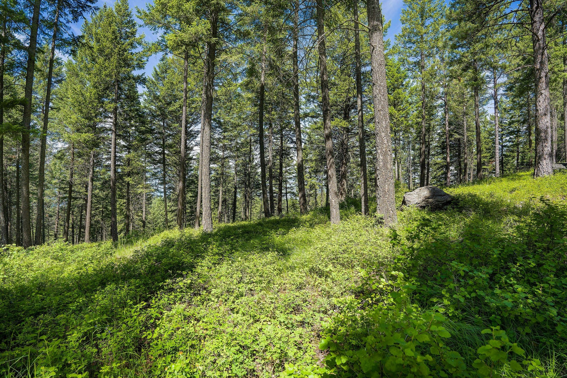 369 Chief Cliff Trail, Bigfork, MT 59911 369 Chief Cliff Trail