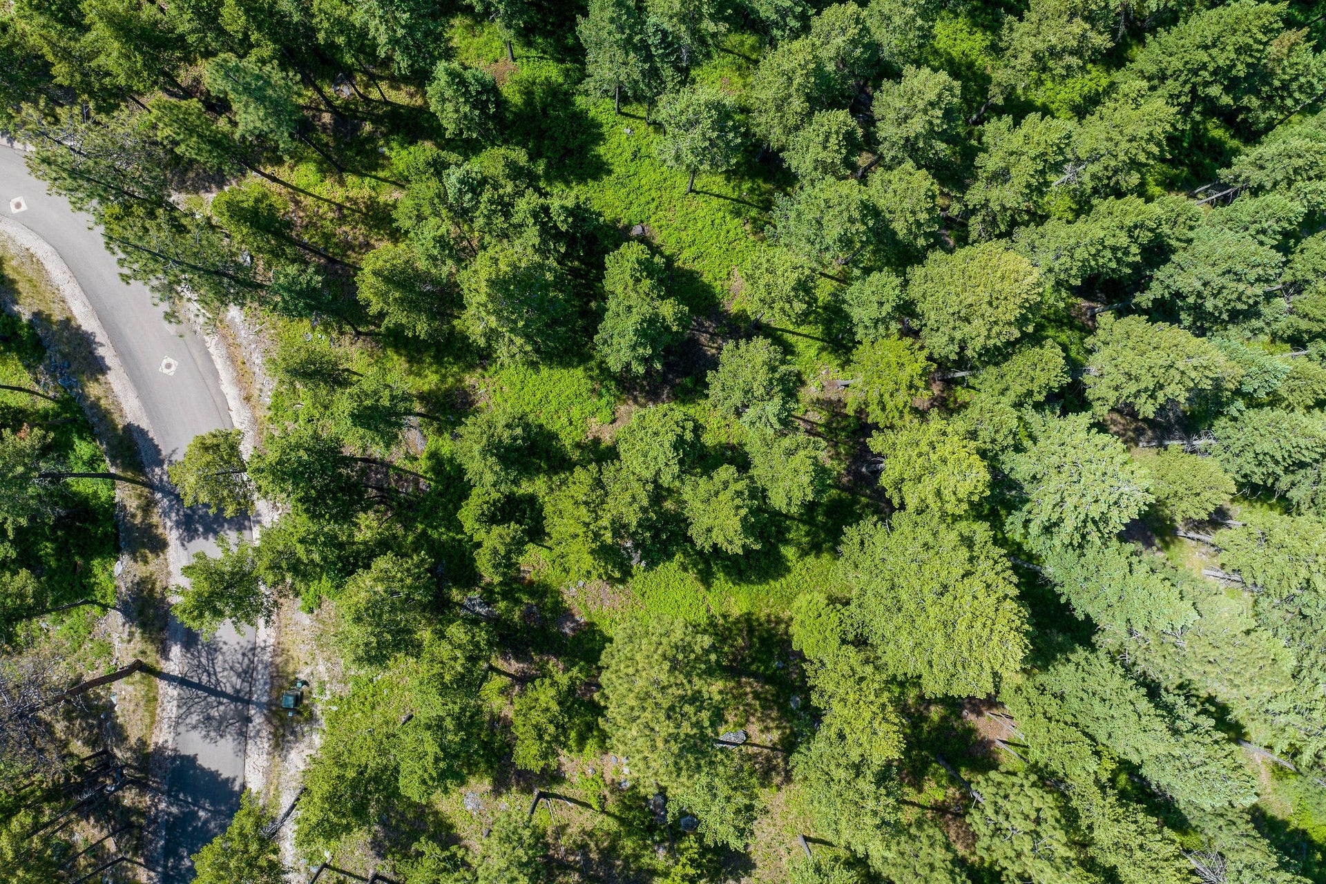 369 Chief Cliff Trail, Bigfork, MT 59911 369 Chief Cliff Trail Aerial