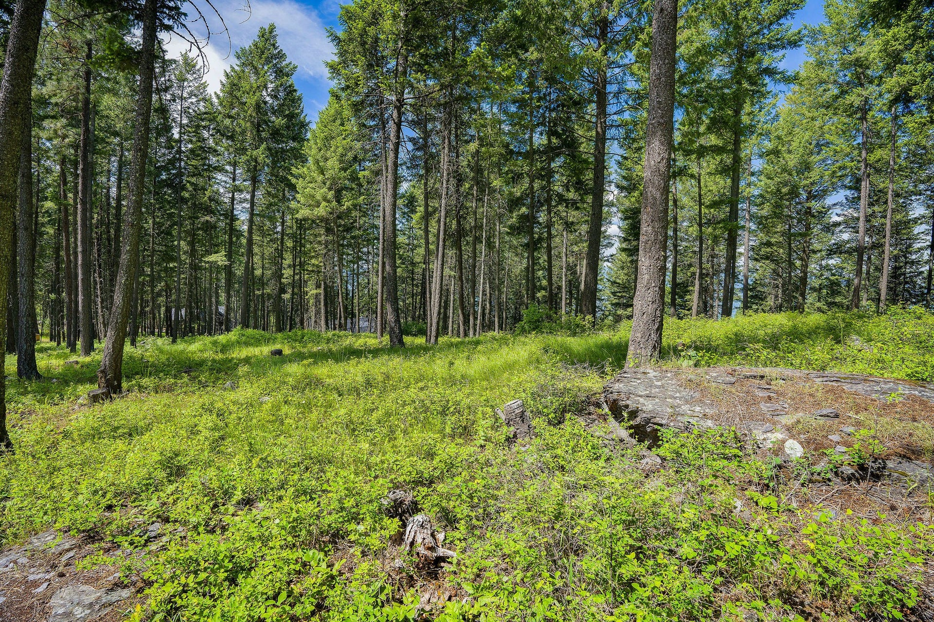 369 Chief Cliff Trail, Bigfork, MT 59911 369 Chief Cliff Trail