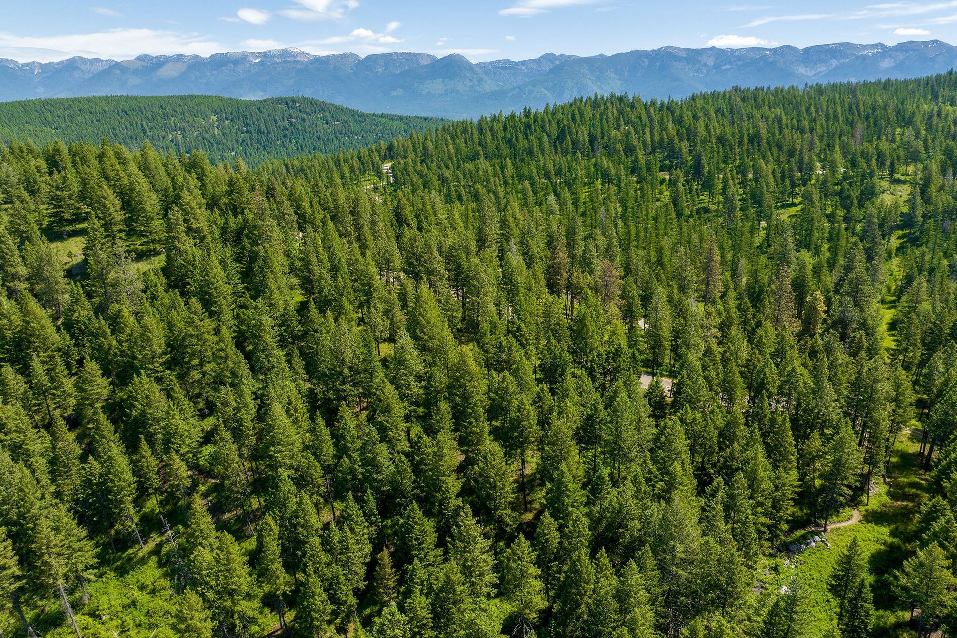 369 Chief Cliff Trail, Bigfork, MT 59911 369 Chief Cliff Trail Aerial