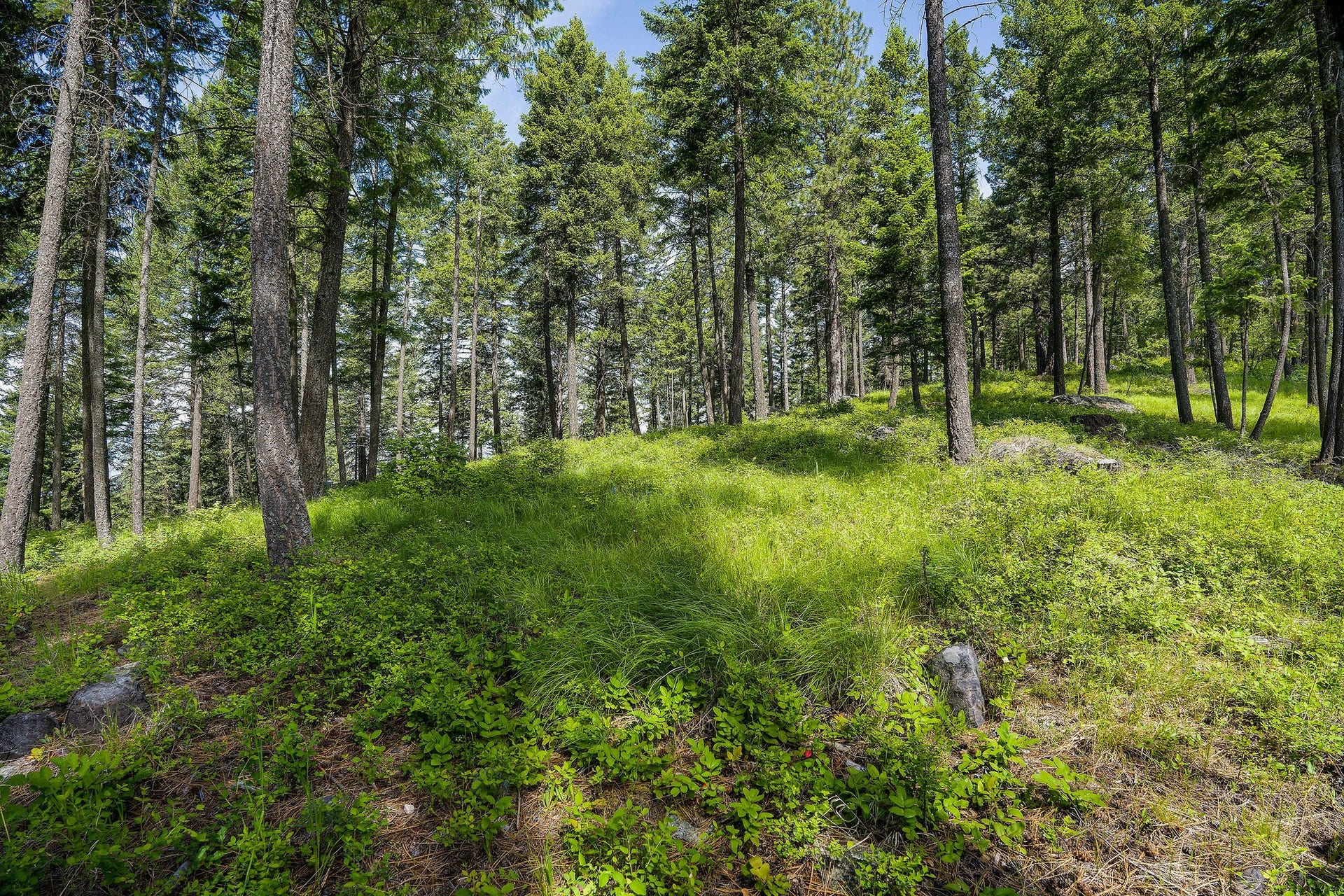 369 Chief Cliff Trail, Bigfork, MT 59911 369 Chief Cliff Trail