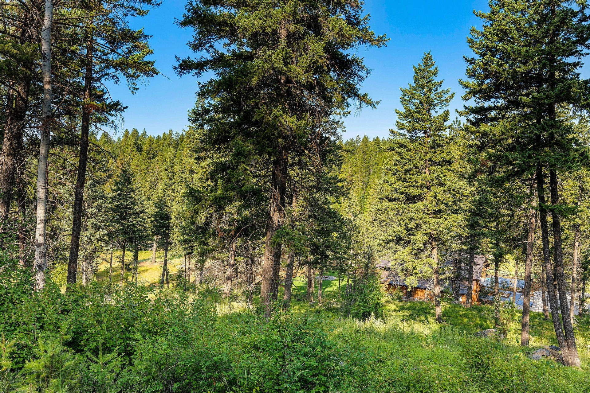 32 Bridle Court, Bigfork, MT 59911 32 Bridle Court, Bigfork, MT 59911