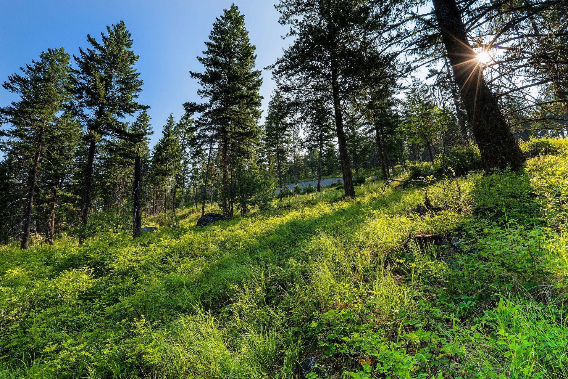 32 Bridle Court, Bigfork, MT 59911 32 Bridle Court, Bigfork, MT 59911