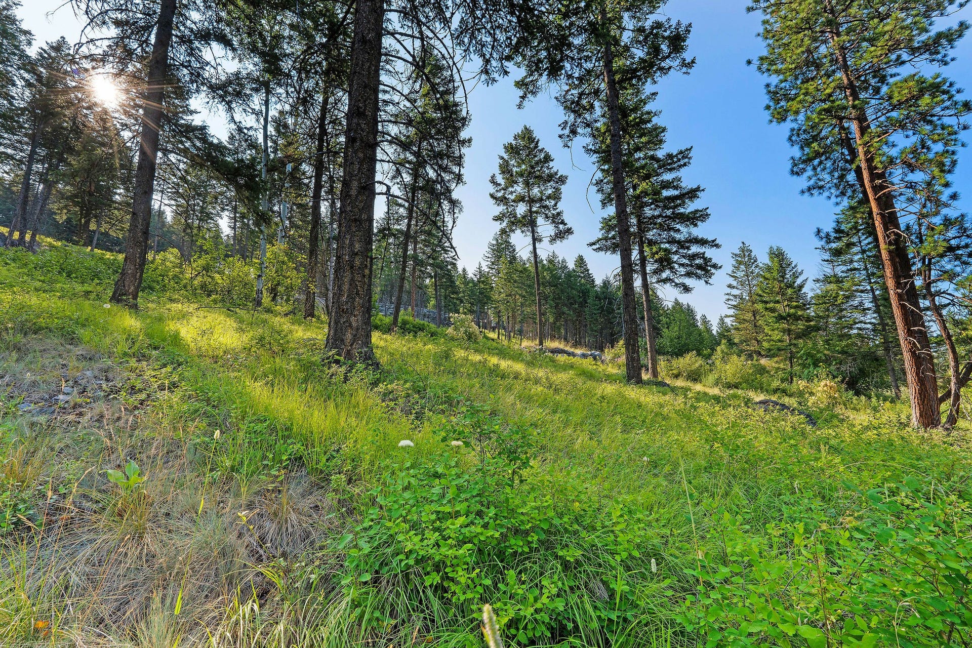 32 Bridle Court, Bigfork, MT 59911 32 Bridle Court, Bigfork, MT 59911