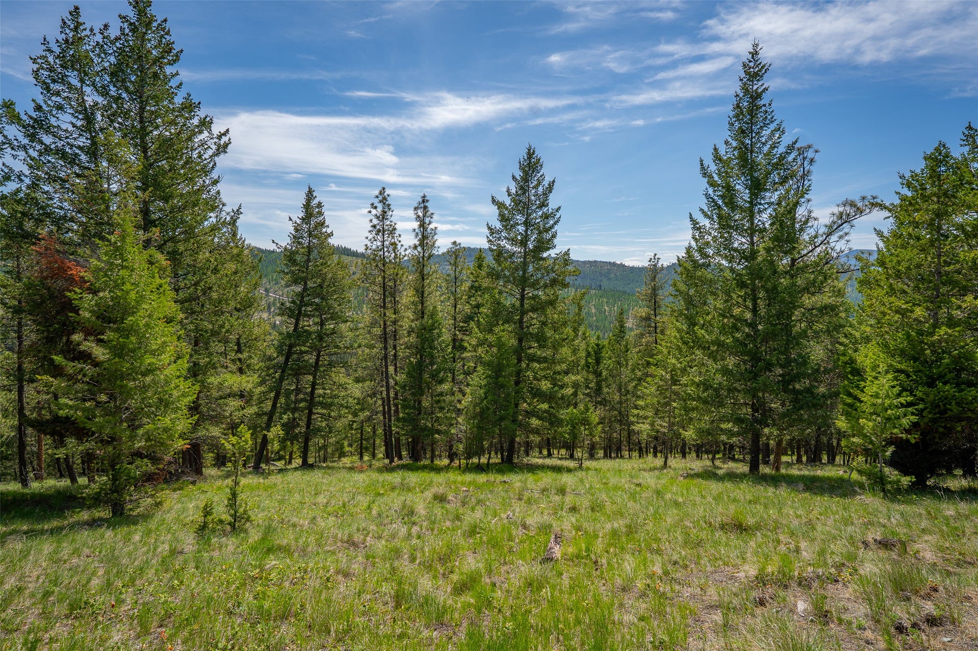 689 Springhill Road, Kila, MT 59920 689 Springhill Road, Kila, MT 59920