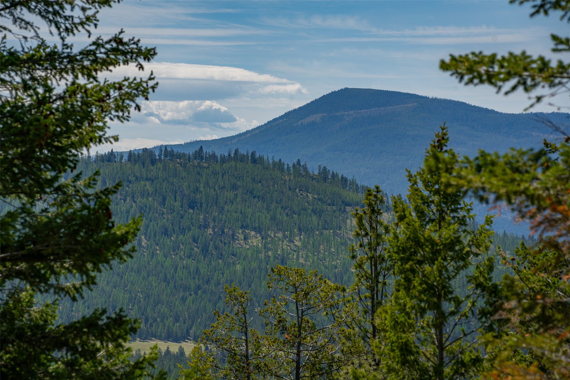 689 Springhill Road, Kila, MT 59920 689 Springhill Road, Kila, MT 59920