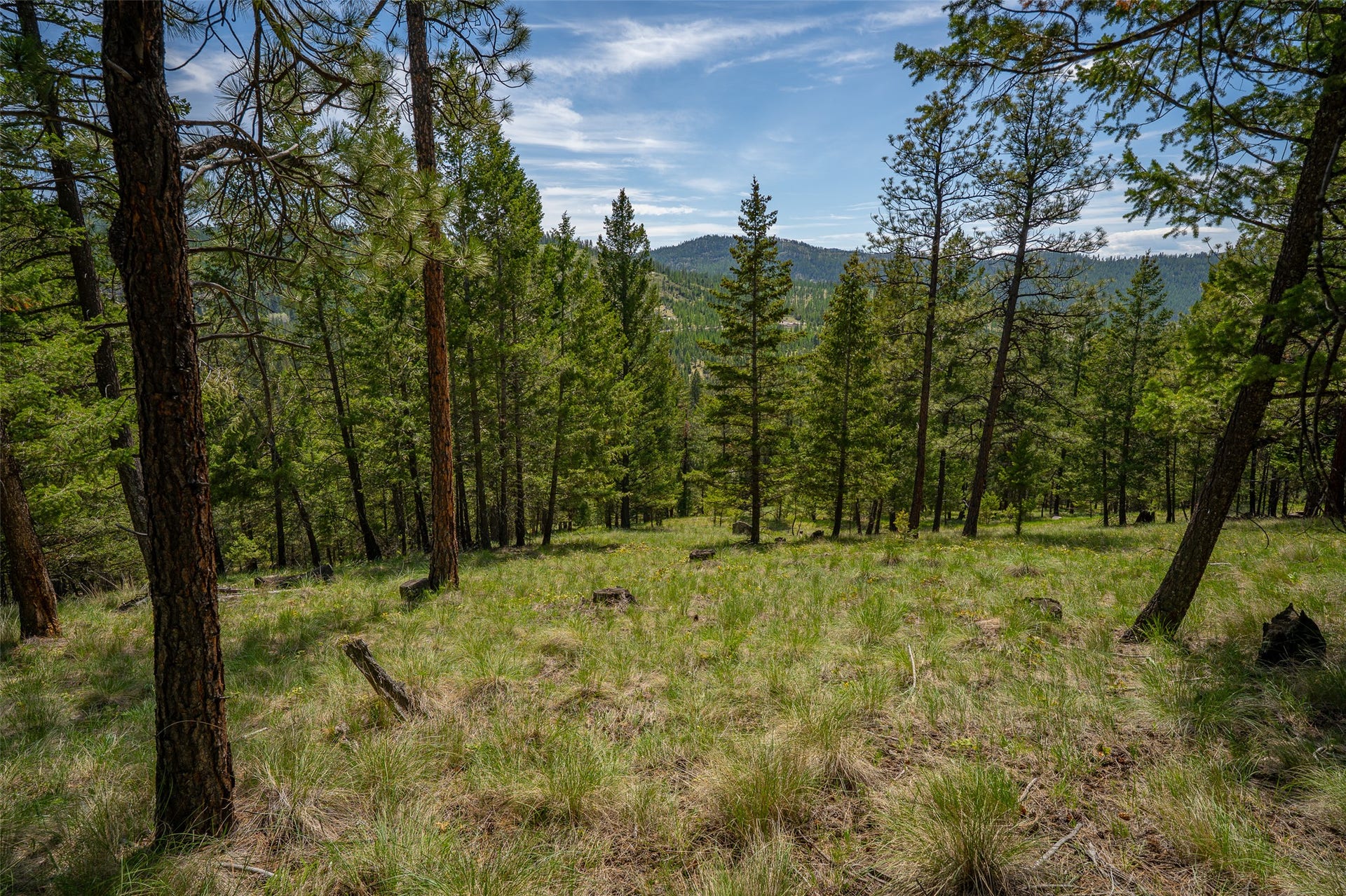 689 Springhill Road, Kila, MT 59920 689 Springhill Road, Kila, MT 59920