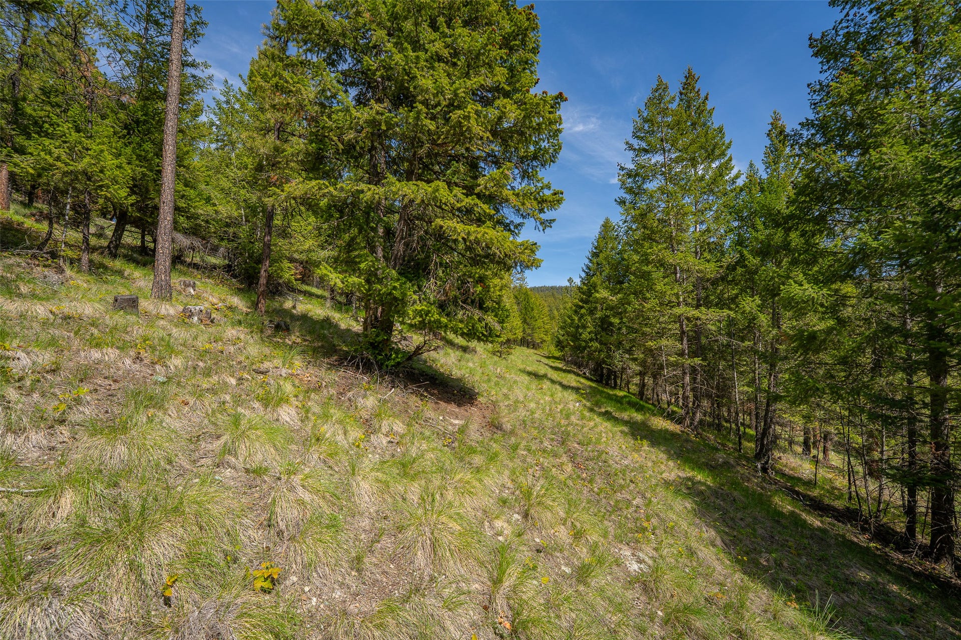 689 Springhill Road, Kila, MT 59920 689 Springhill Road, Kila, MT 59920
