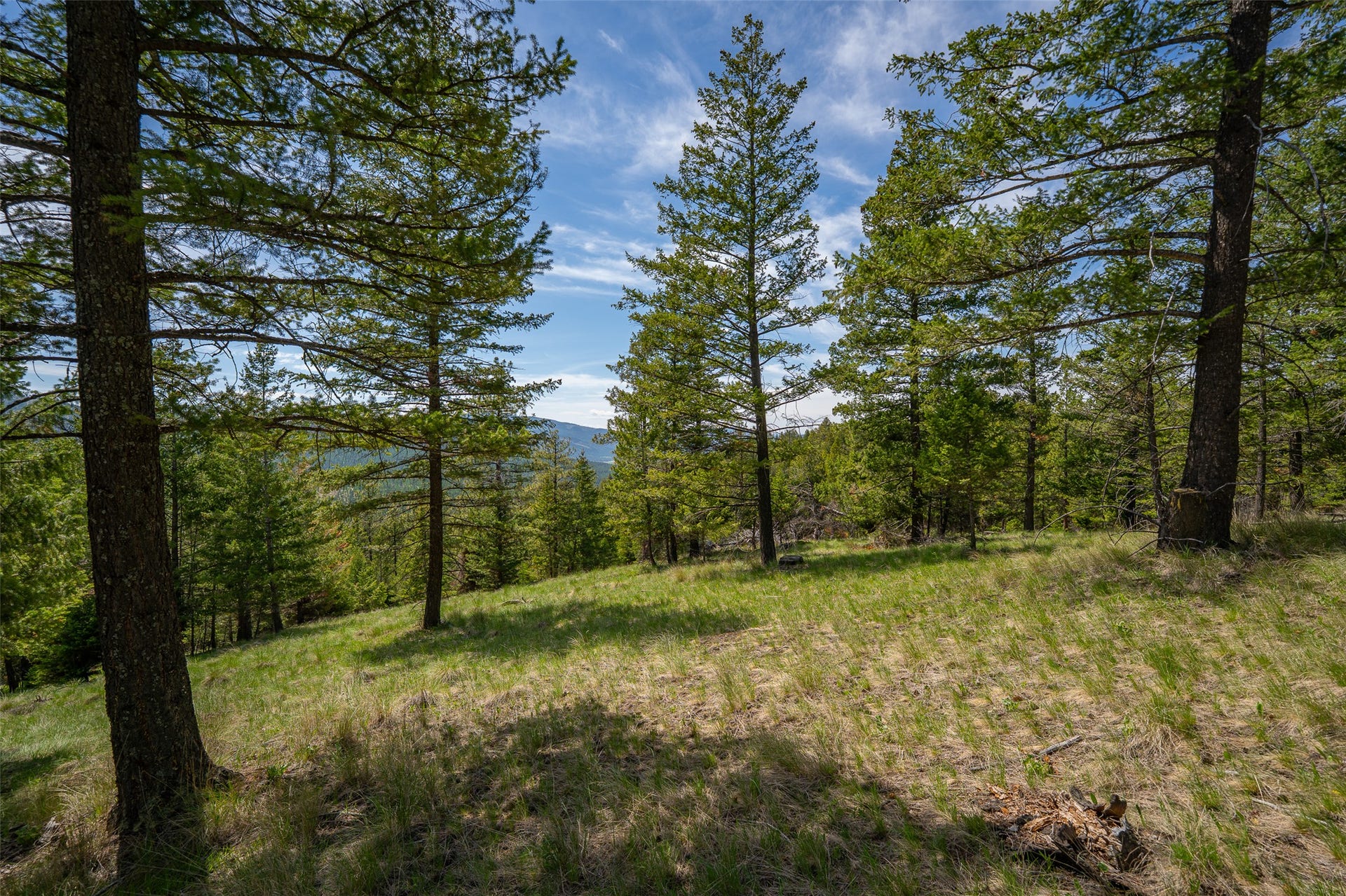 689 Springhill Road, Kila, MT 59920 689 Springhill Road, Kila, MT 59920
