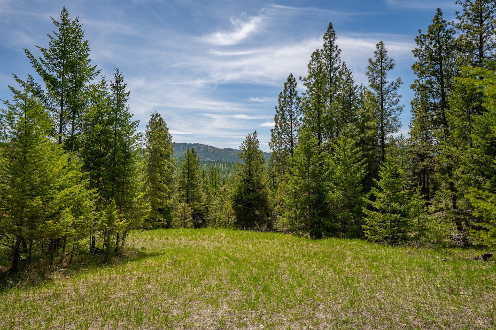 689 Springhill Road, Kila, MT 59920 689 Springhill Road, Kila, MT 59920