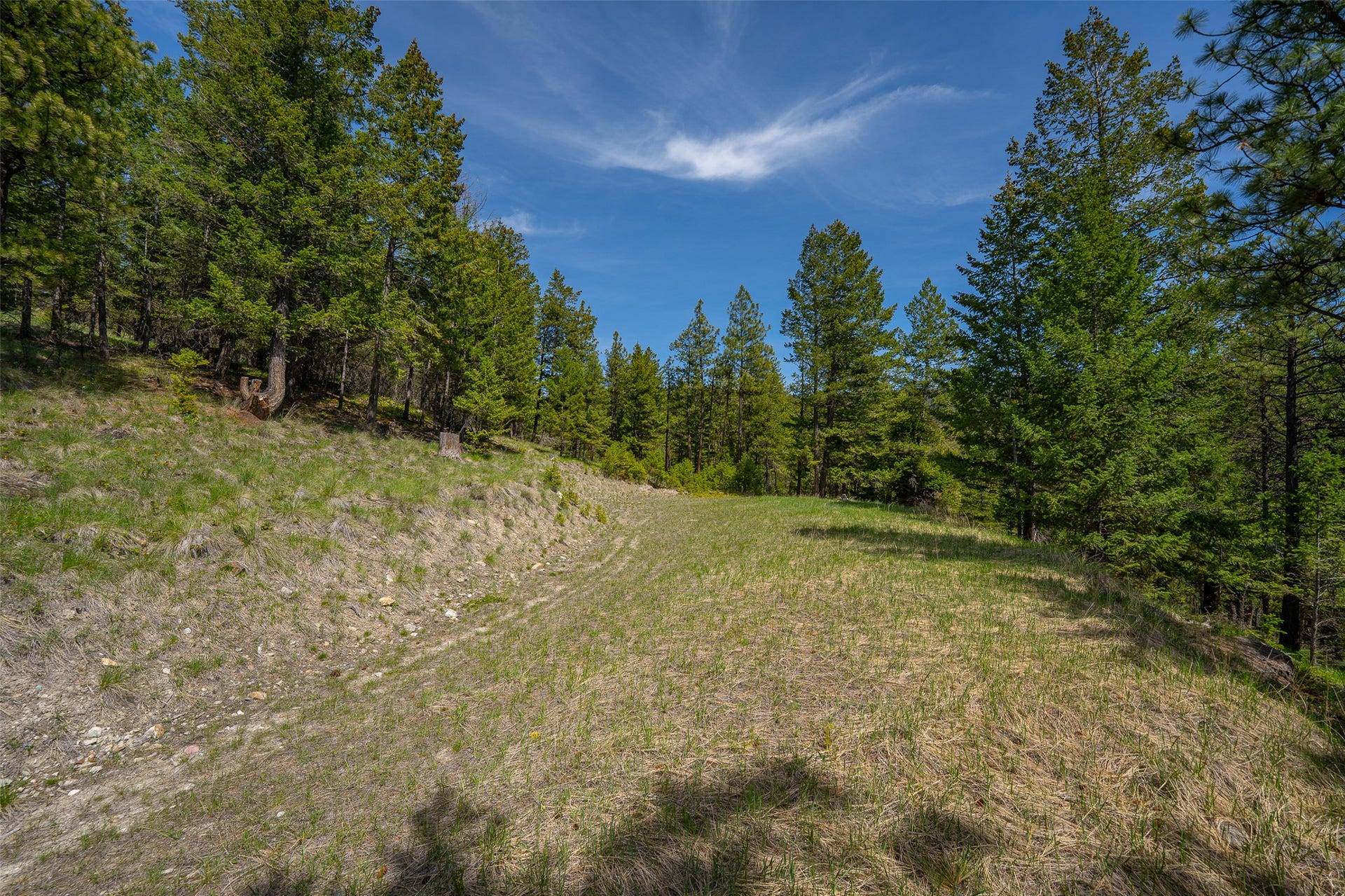 689 Springhill Road, Kila, MT 59920 689 Springhill Road, Kila, MT 59920