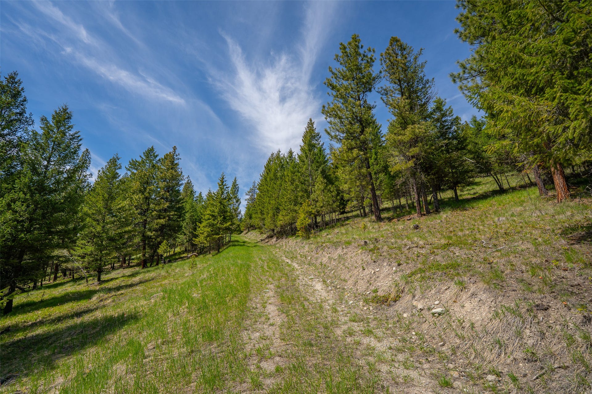 689 Springhill Road, Kila, MT 59920 689 Springhill Road, Kila, MT 59920