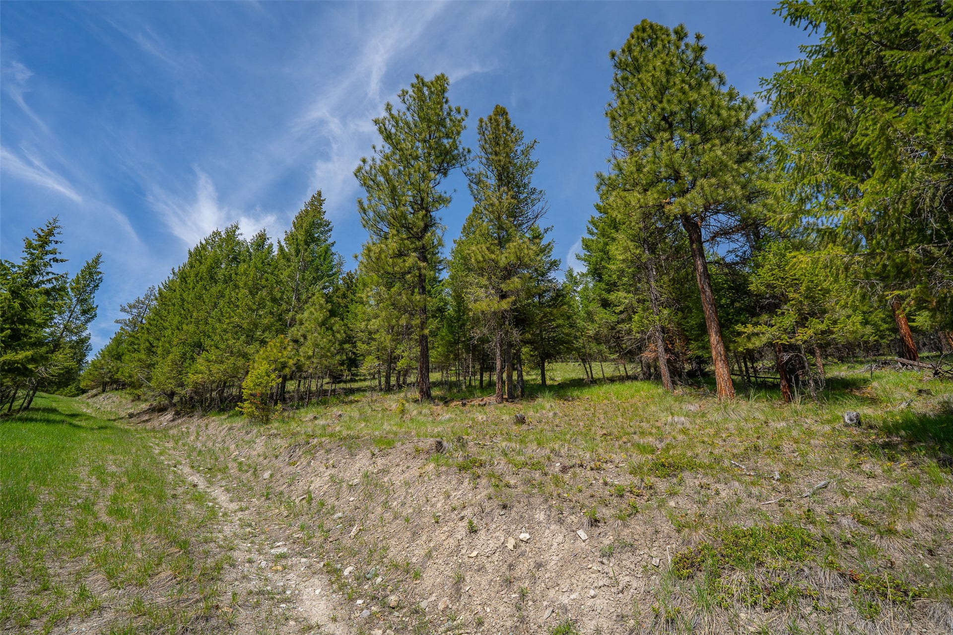 689 Springhill Road, Kila, MT 59920 689 Springhill Road, Kila, MT 59920