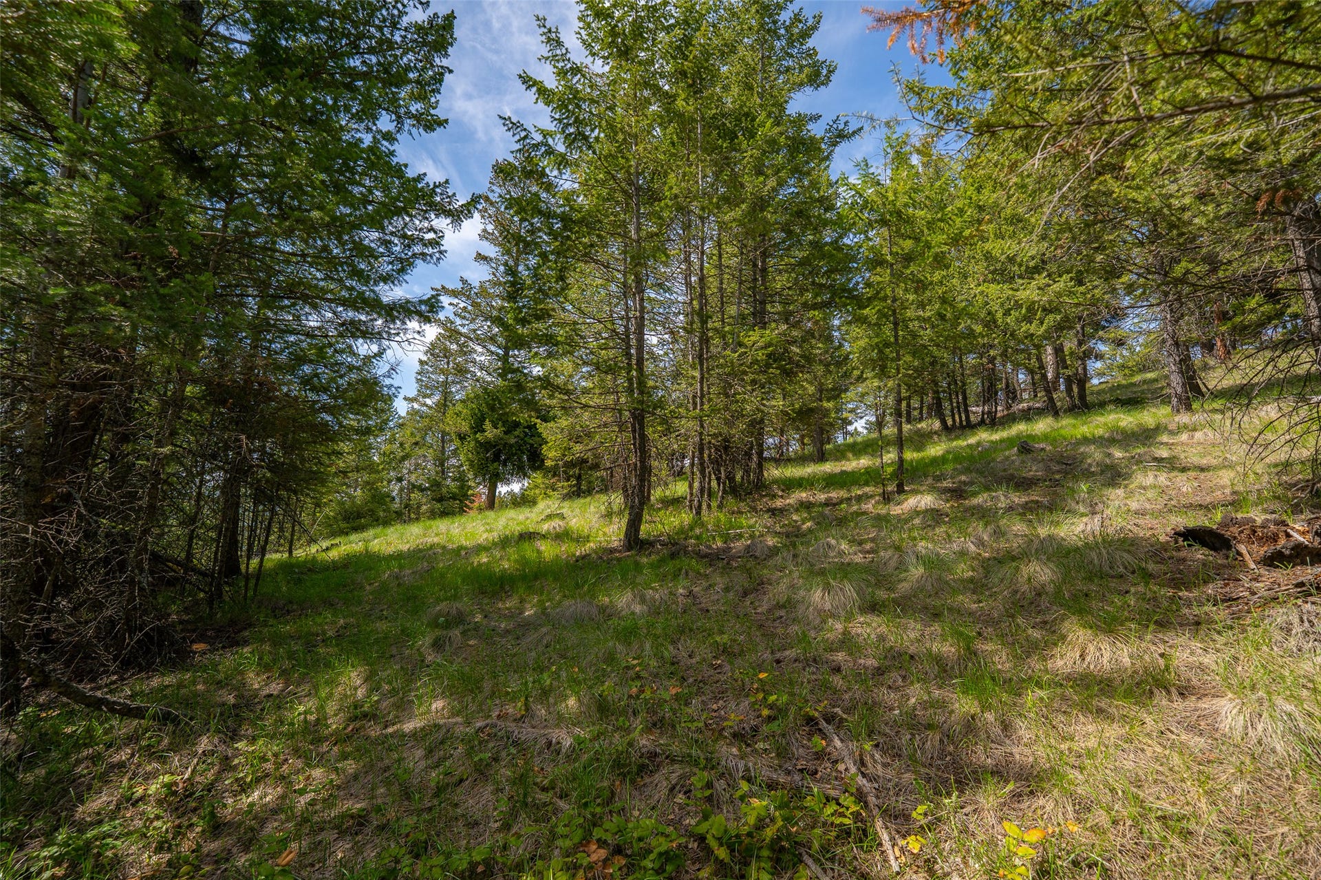 689 Springhill Road, Kila, MT 59920 689 Springhill Road, Kila, MT 59920