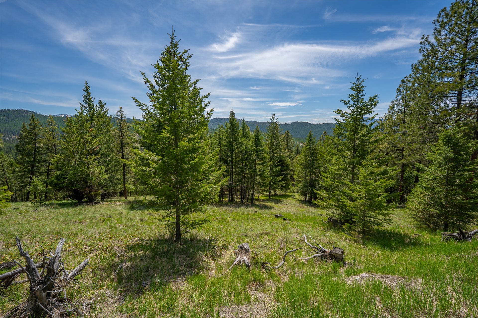 689 Springhill Road, Kila, MT 59920 689 Springhill Road, Kila, MT 59920