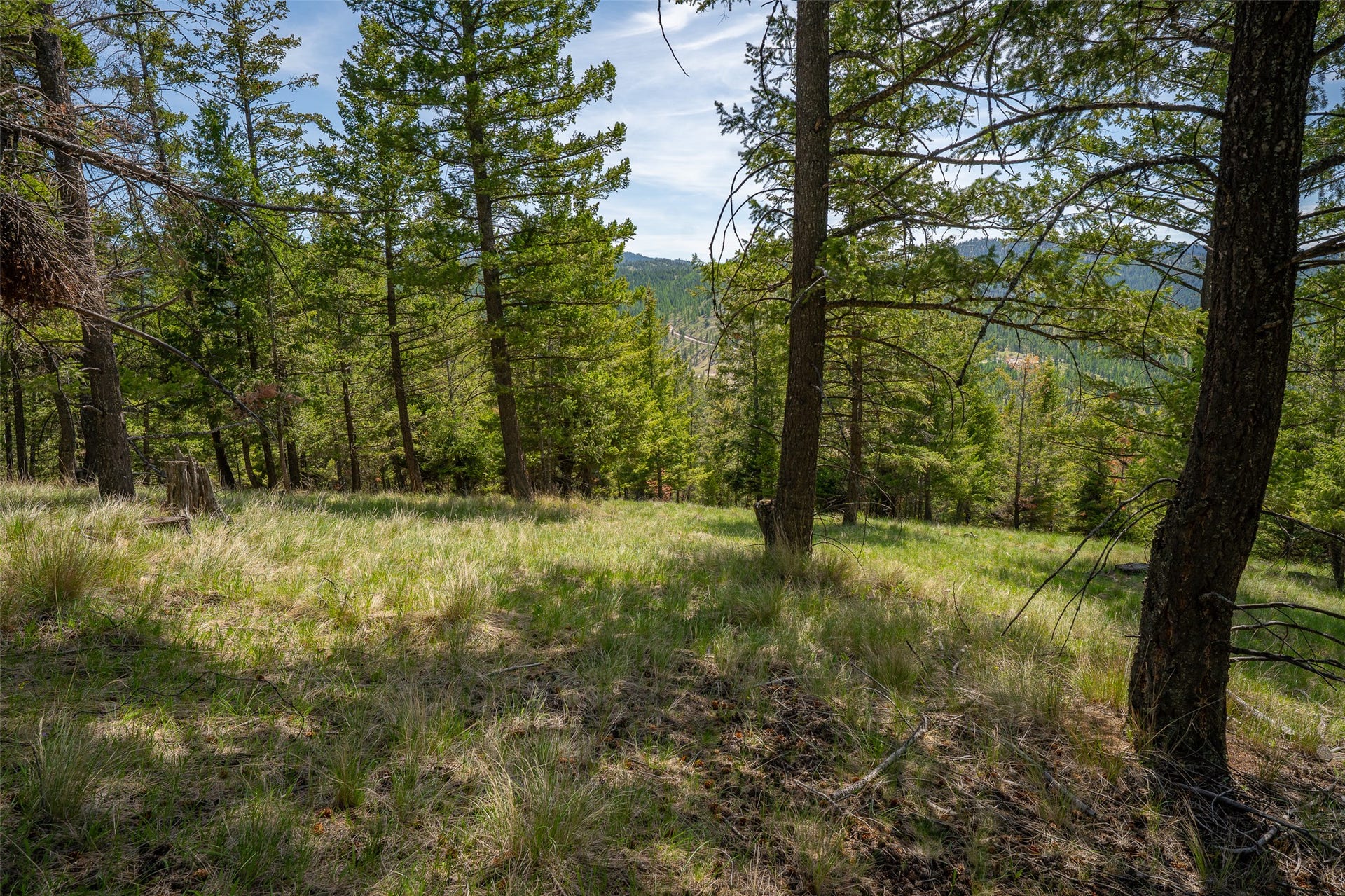 689 Springhill Road, Kila, MT 59920 689 Springhill Road, Kila, MT 59920