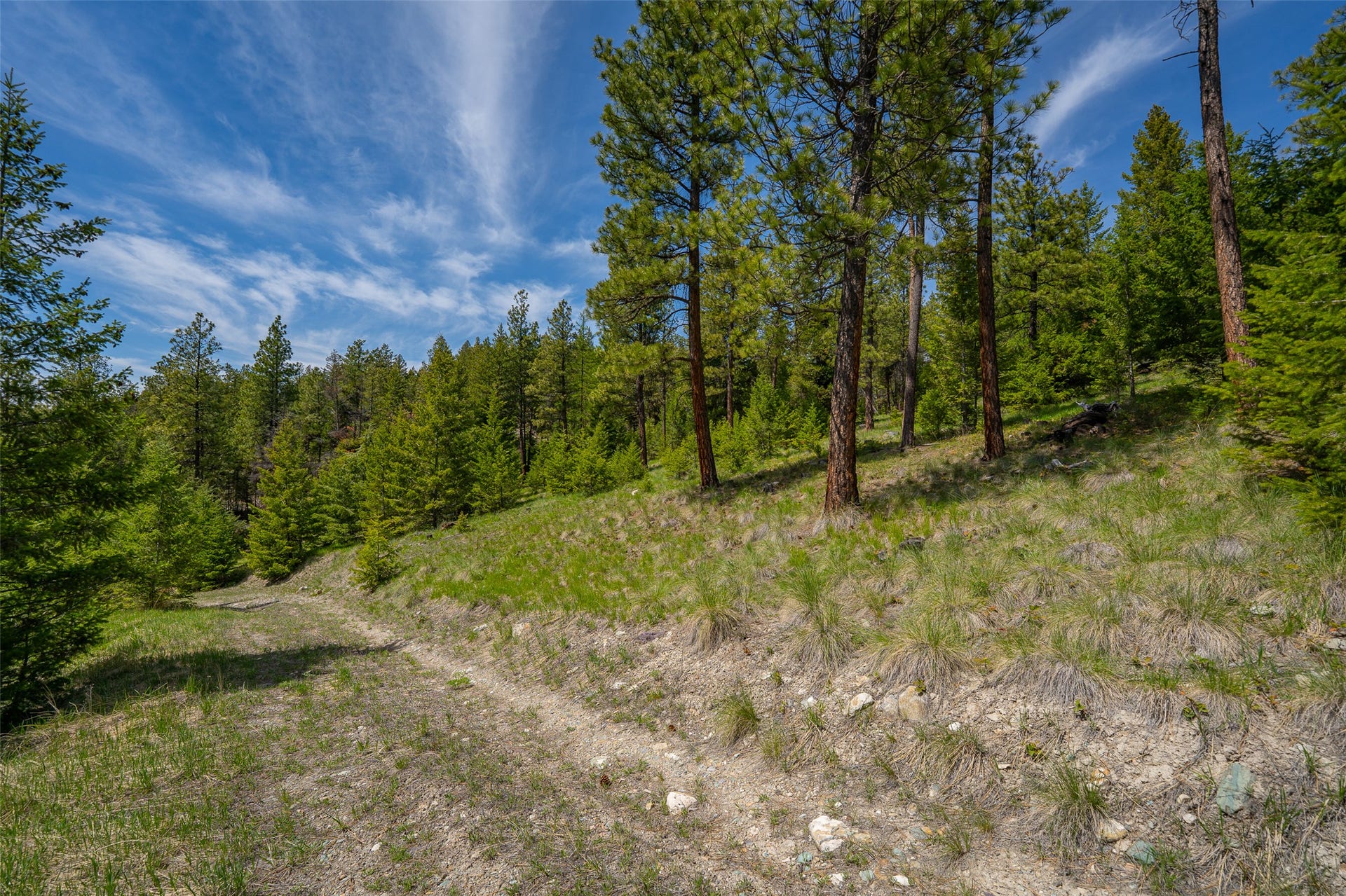 689 Springhill Road, Kila, MT 59920 689 Springhill Road, Kila, MT 59920