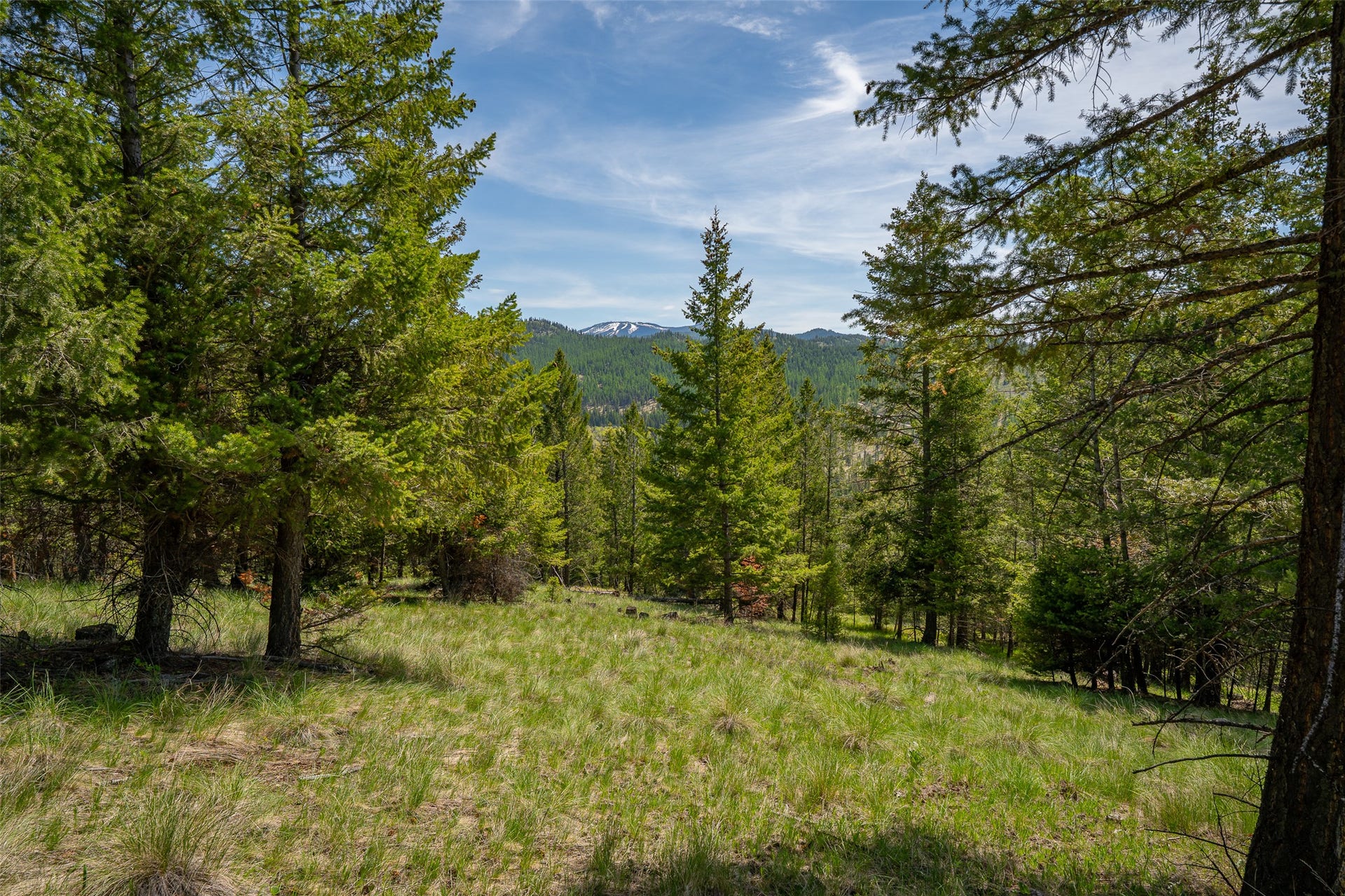 689 Springhill Road, Kila, MT 59920 689 Springhill Road, Kila, MT 59920