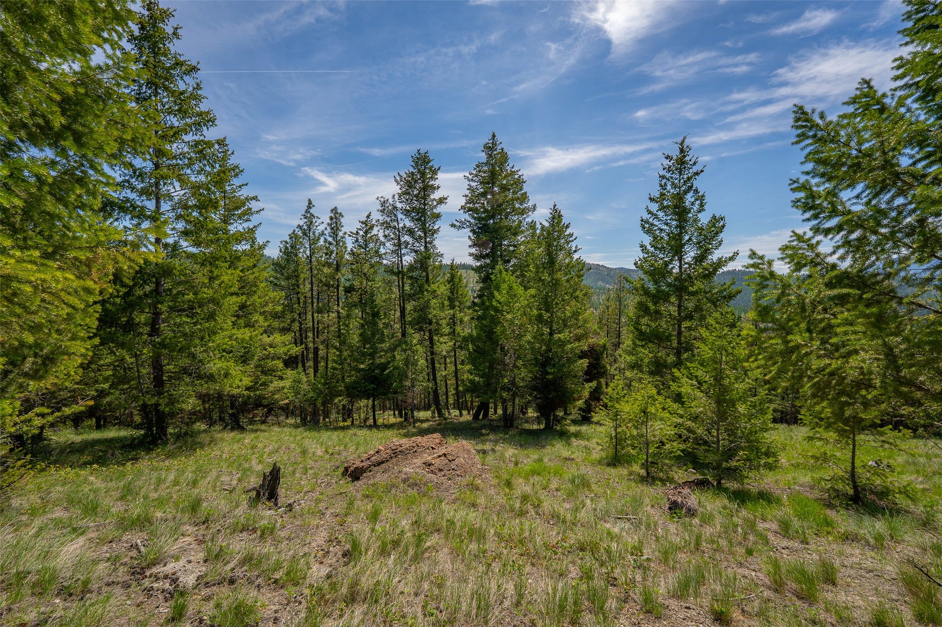 689 Springhill Road, Kila, MT 59920 689 Springhill Road, Kila, MT 59920