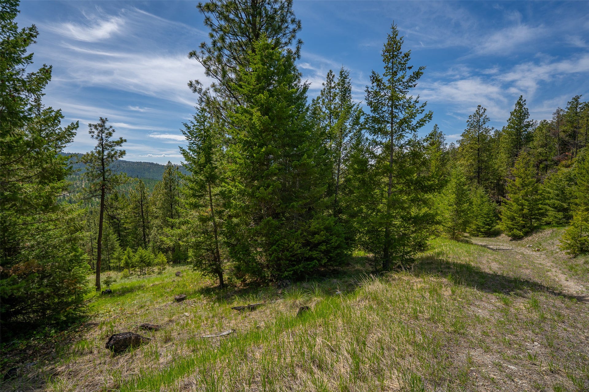 689 Springhill Road, Kila, MT 59920 689 Springhill Road, Kila, MT 59920