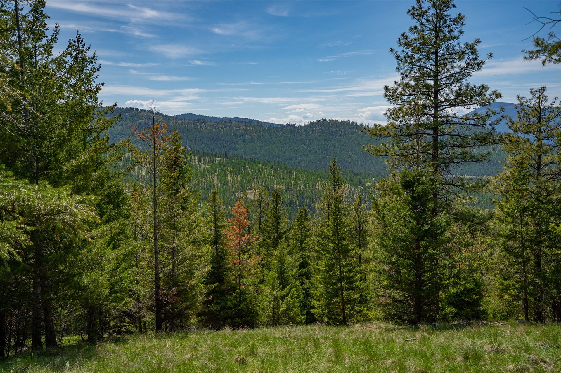 689 Springhill Road, Kila, MT 59920 689 Springhill Road, Kila, MT 59920
