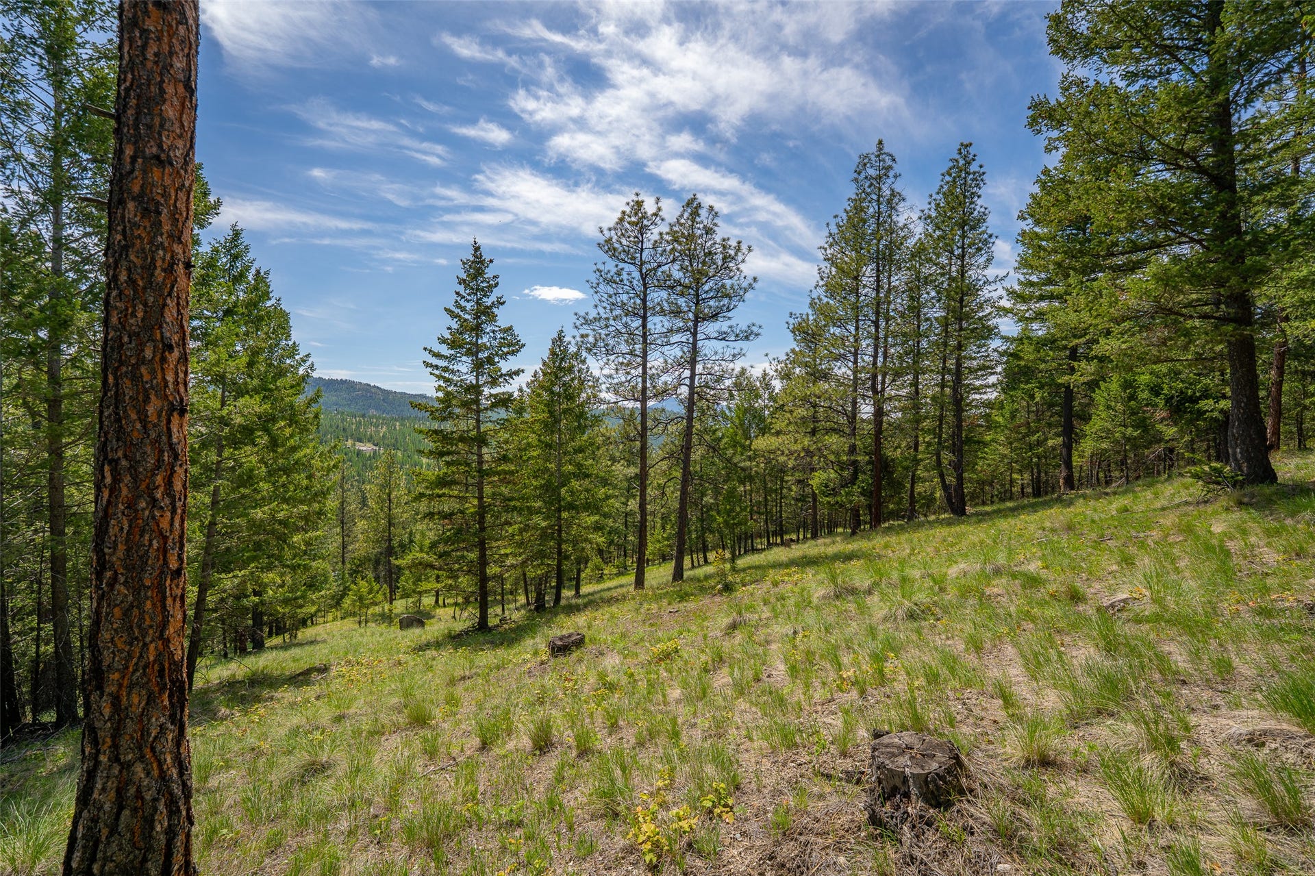 689 Springhill Road, Kila, MT 59920 689 Springhill Road, Kila, MT 59920