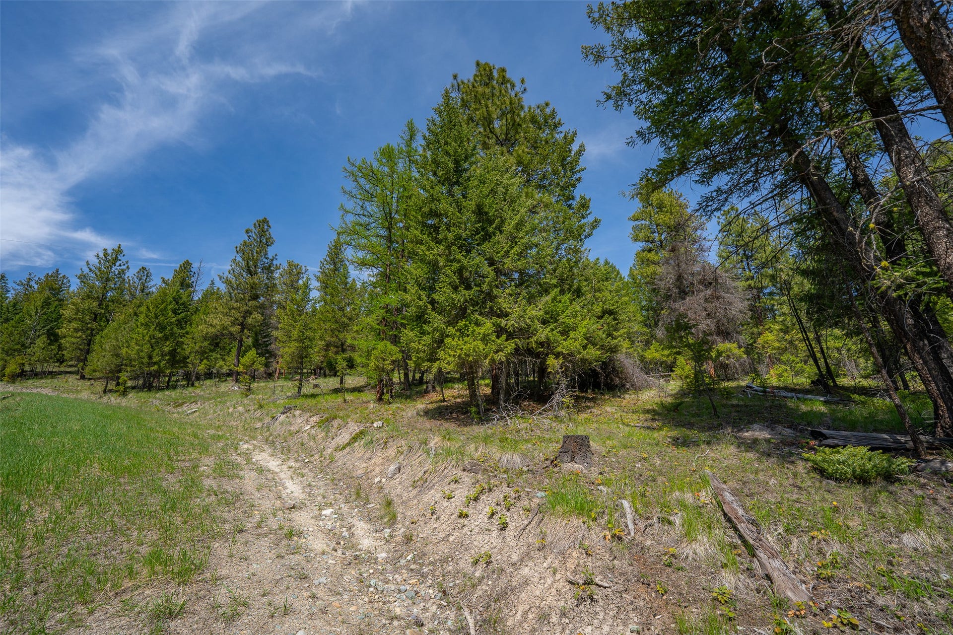 689 Springhill Road, Kila, MT 59920 689 Springhill Road, Kila, MT 59920