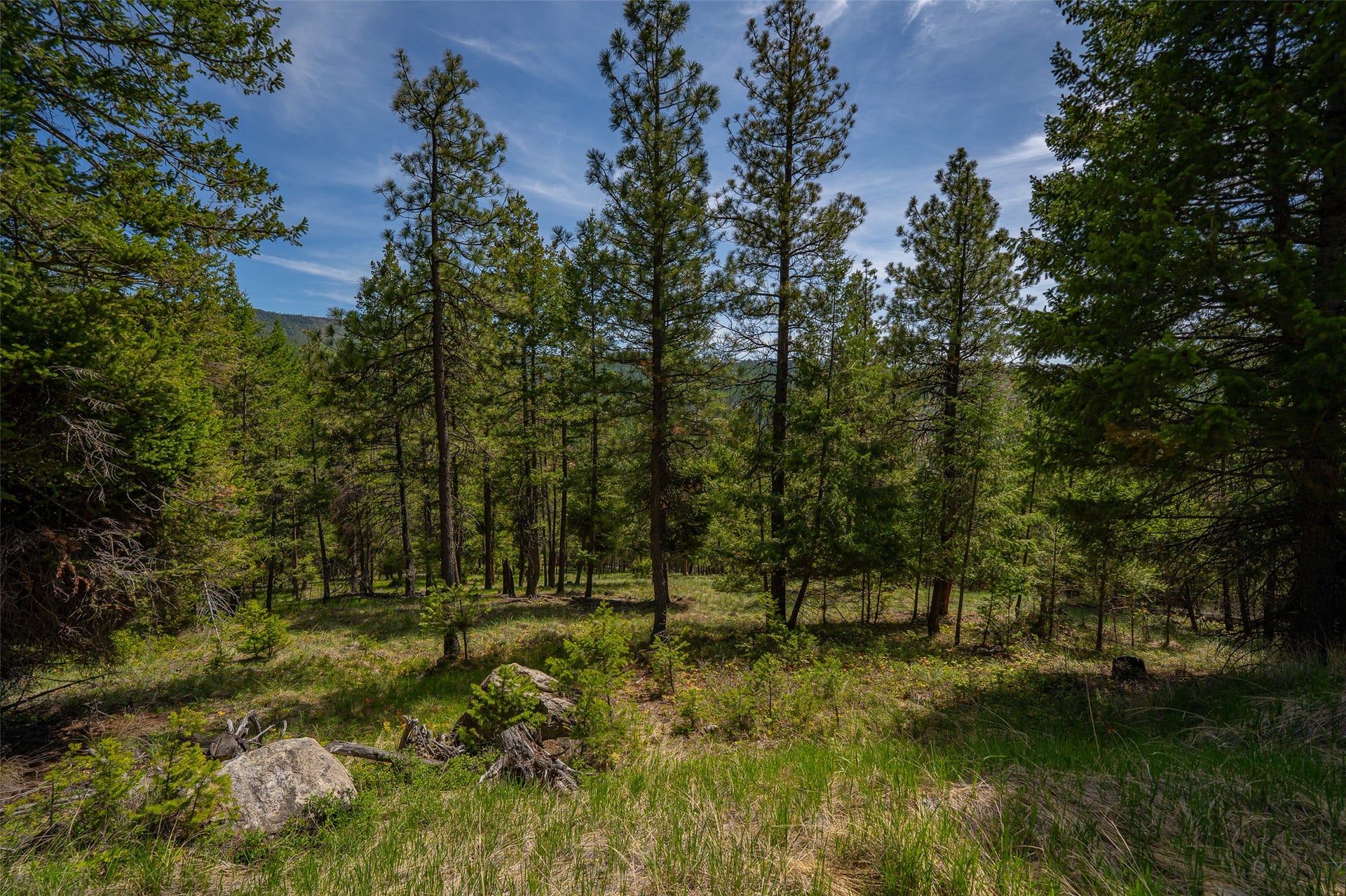 689 Springhill Road, Kila, MT 59920 689 Springhill Road, Kila, MT 59920