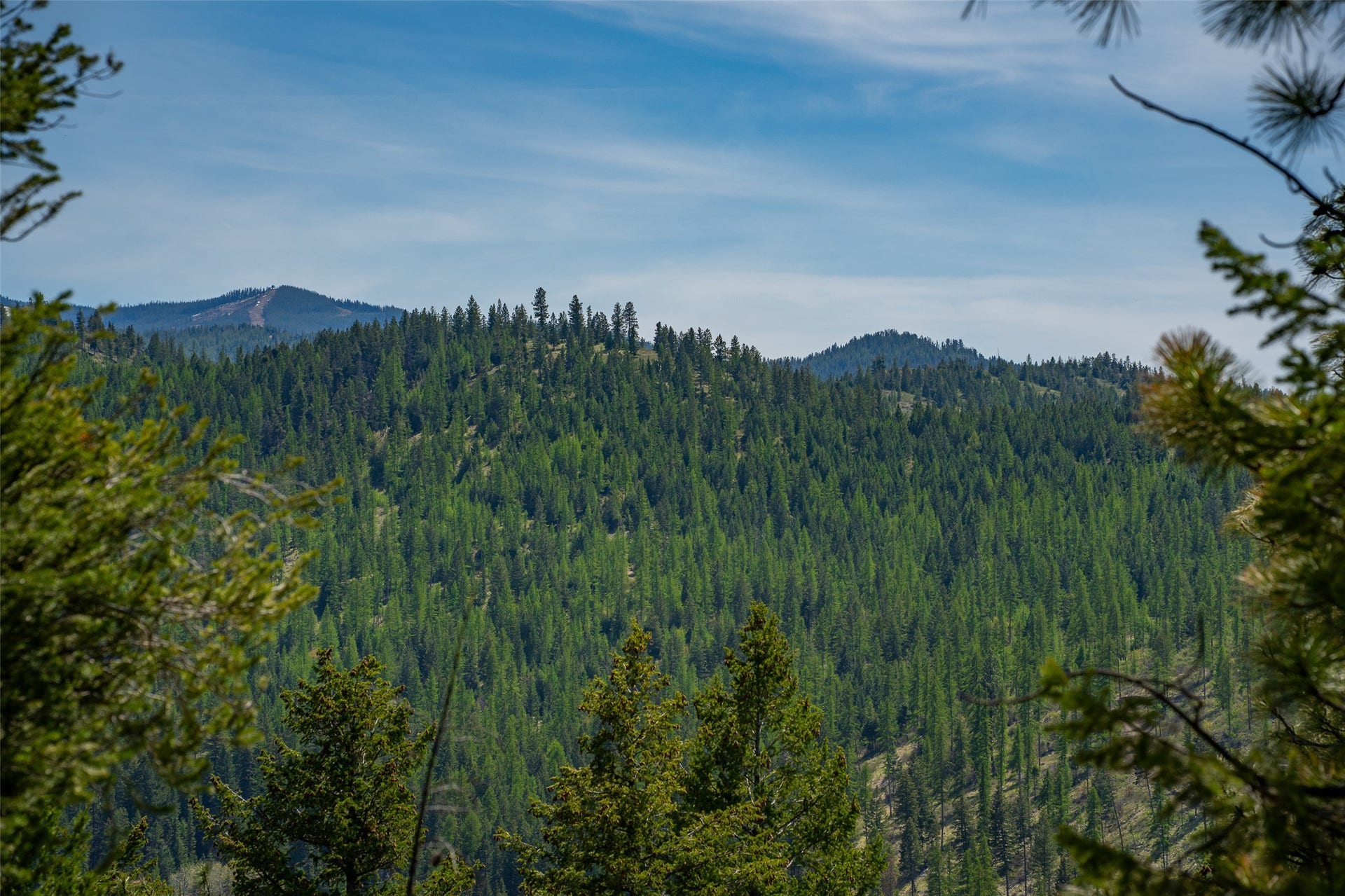 689 Springhill Road, Kila, MT 59920 689 Springhill Road, Kila, MT 59920