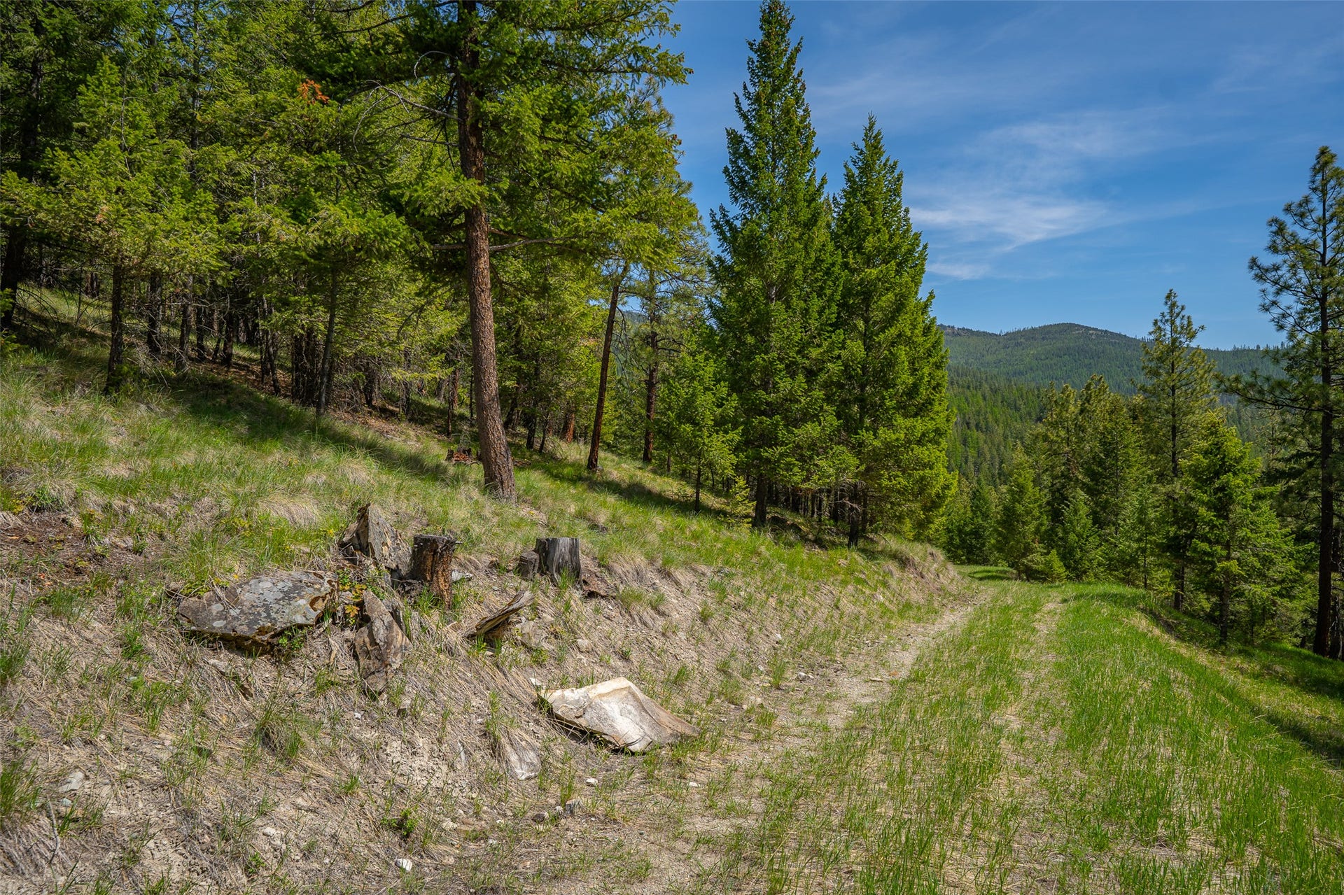 689 Springhill Road, Kila, MT 59920 689 Springhill Road, Kila, MT 59920