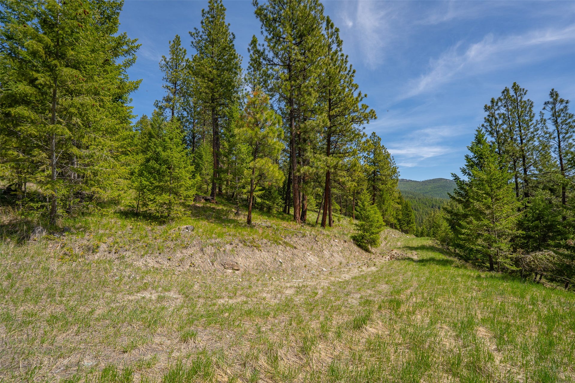689 Springhill Road, Kila, MT 59920 689 Springhill Road, Kila, MT 59920