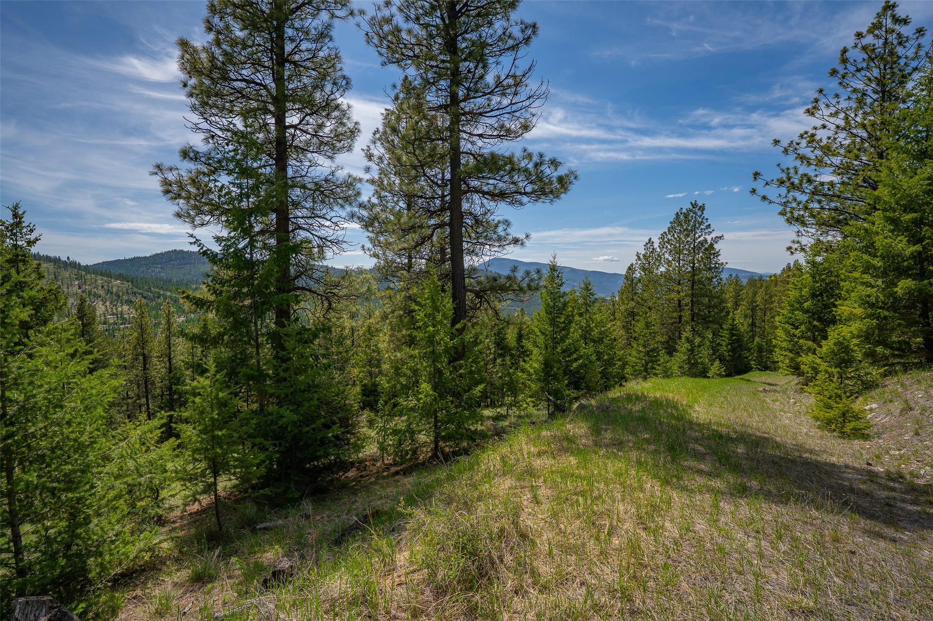 689 Springhill Road, Kila, MT 59920 689 Springhill Road, Kila, MT 59920